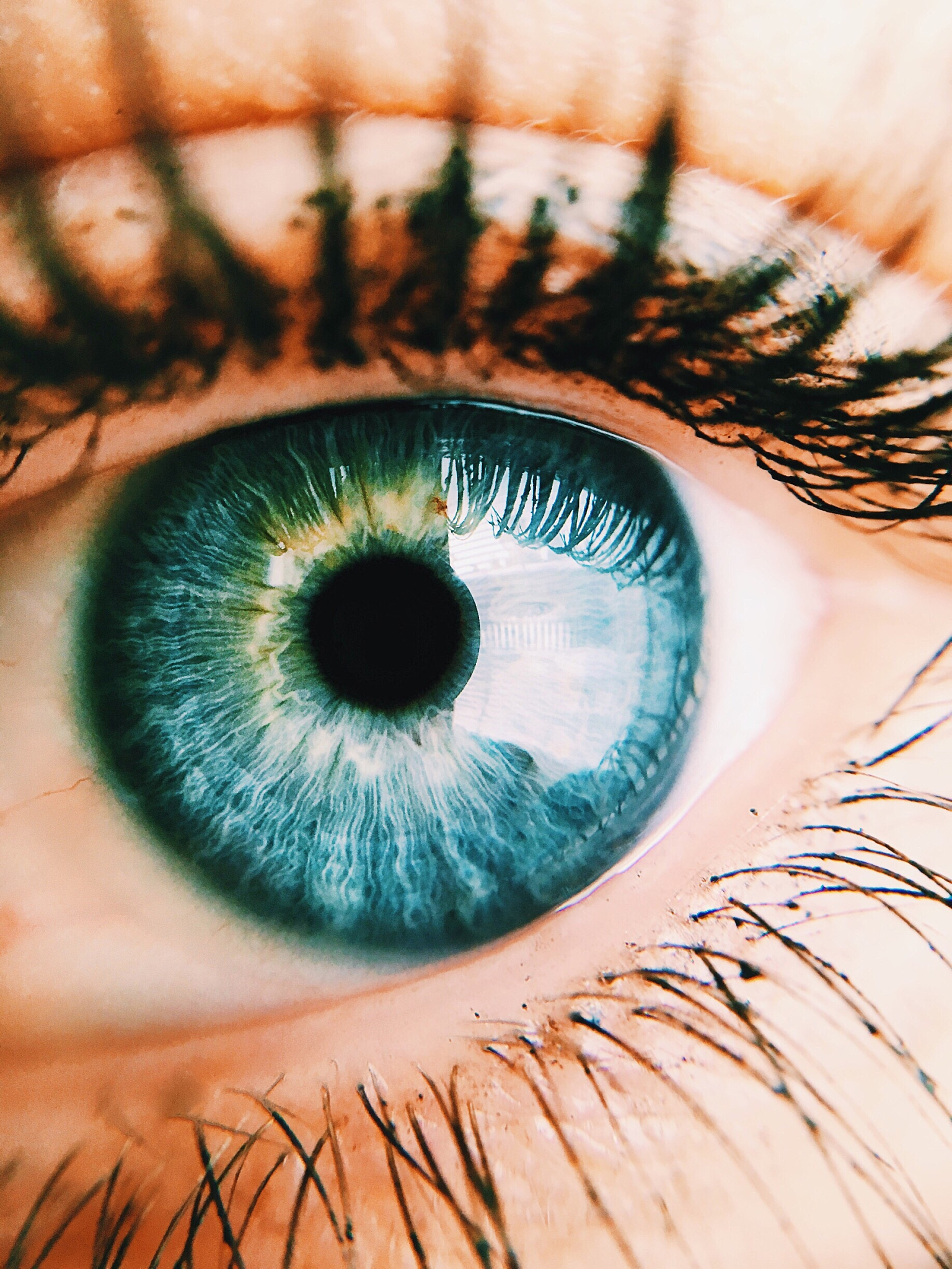 extreme close-up of human eye