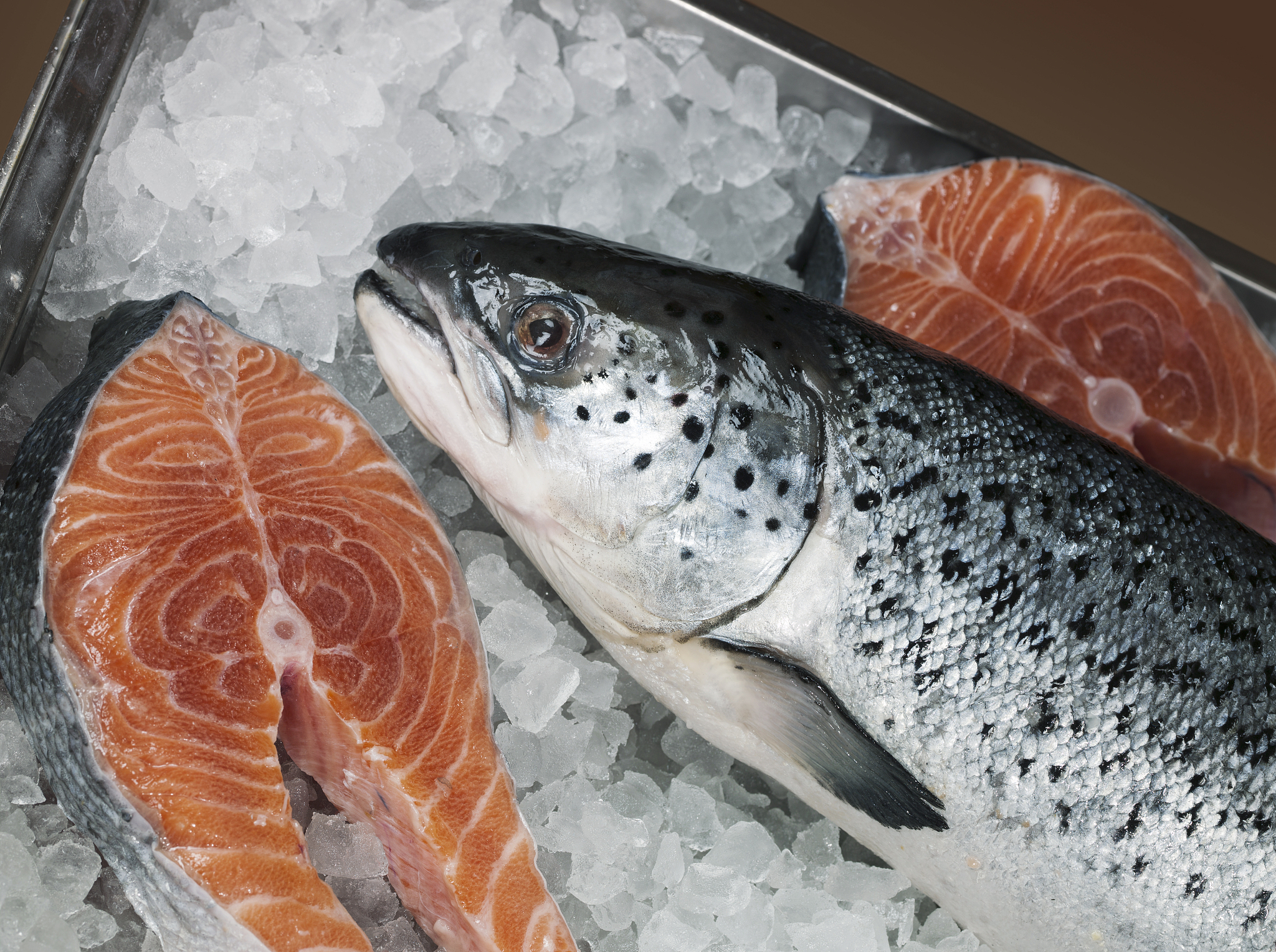 以三文鱼的分类和命名为主题写一段论文