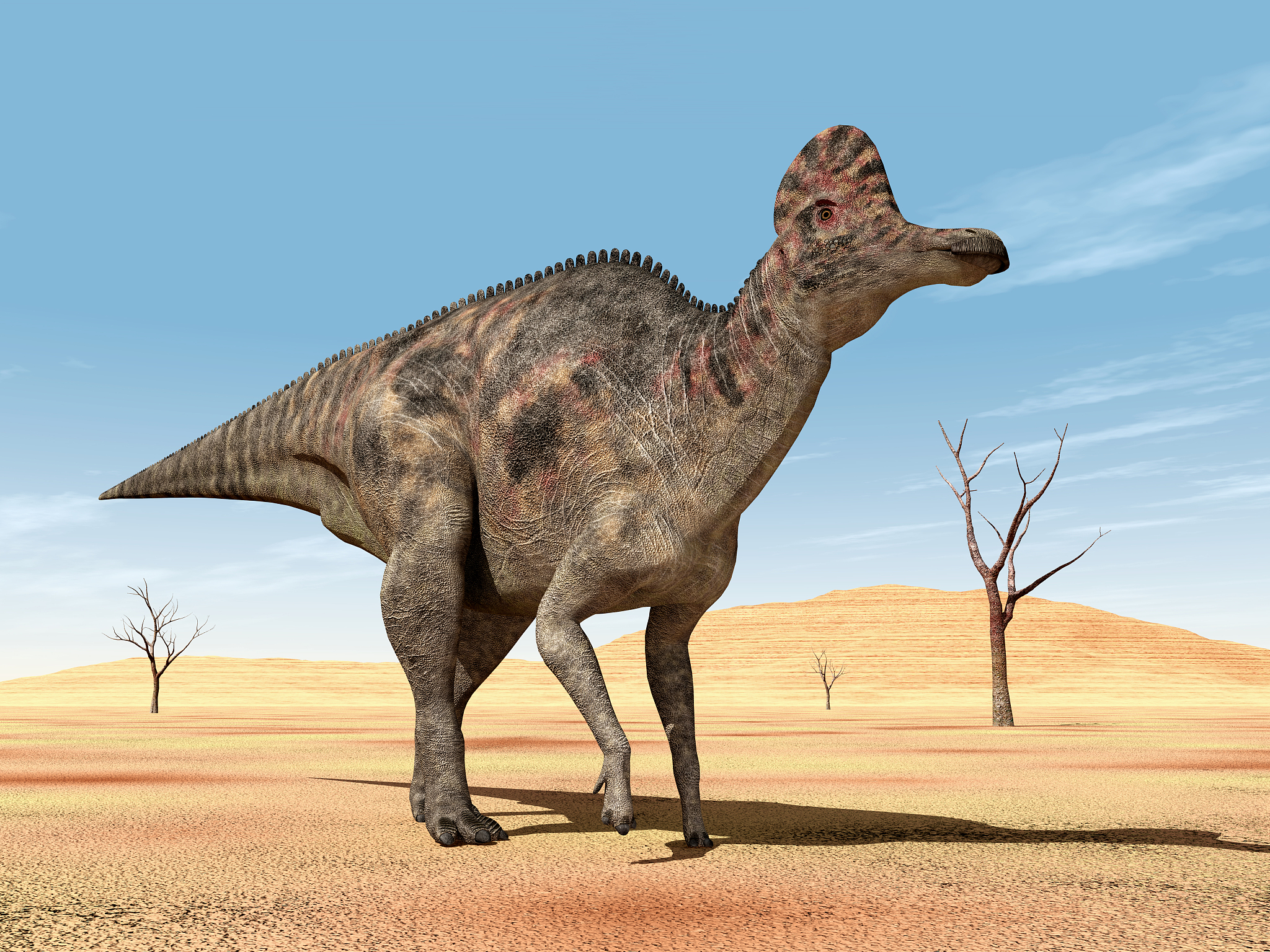 dinosaur corythosaurus