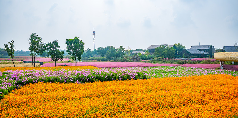 江苏东源投资有限公司2023年度团支部工作计划