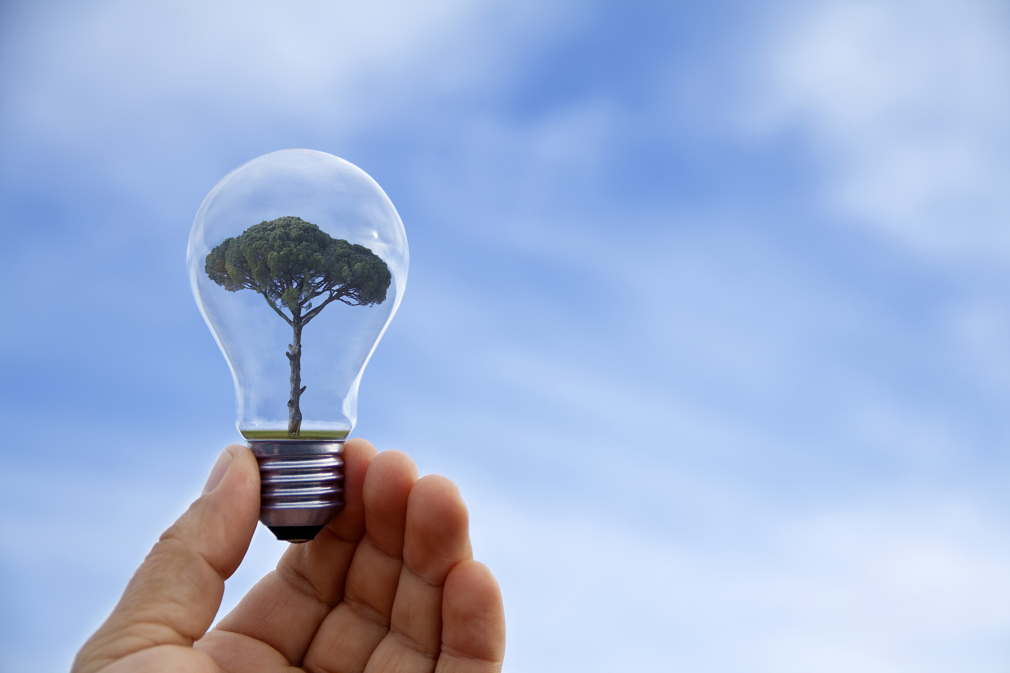 hand holding light bulb, close-up