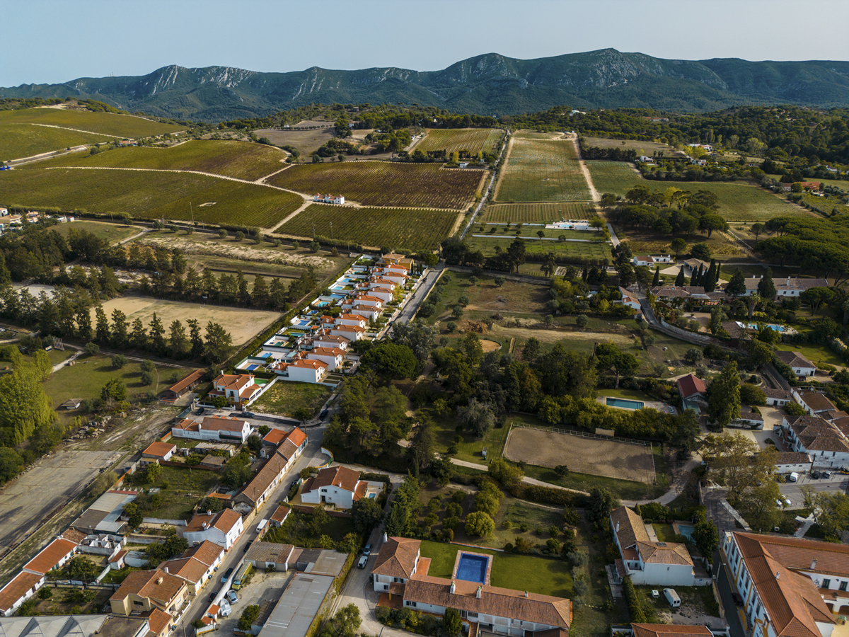 生态安全视角下农村居民点布局优化研究——以抚顺市新宾县为例