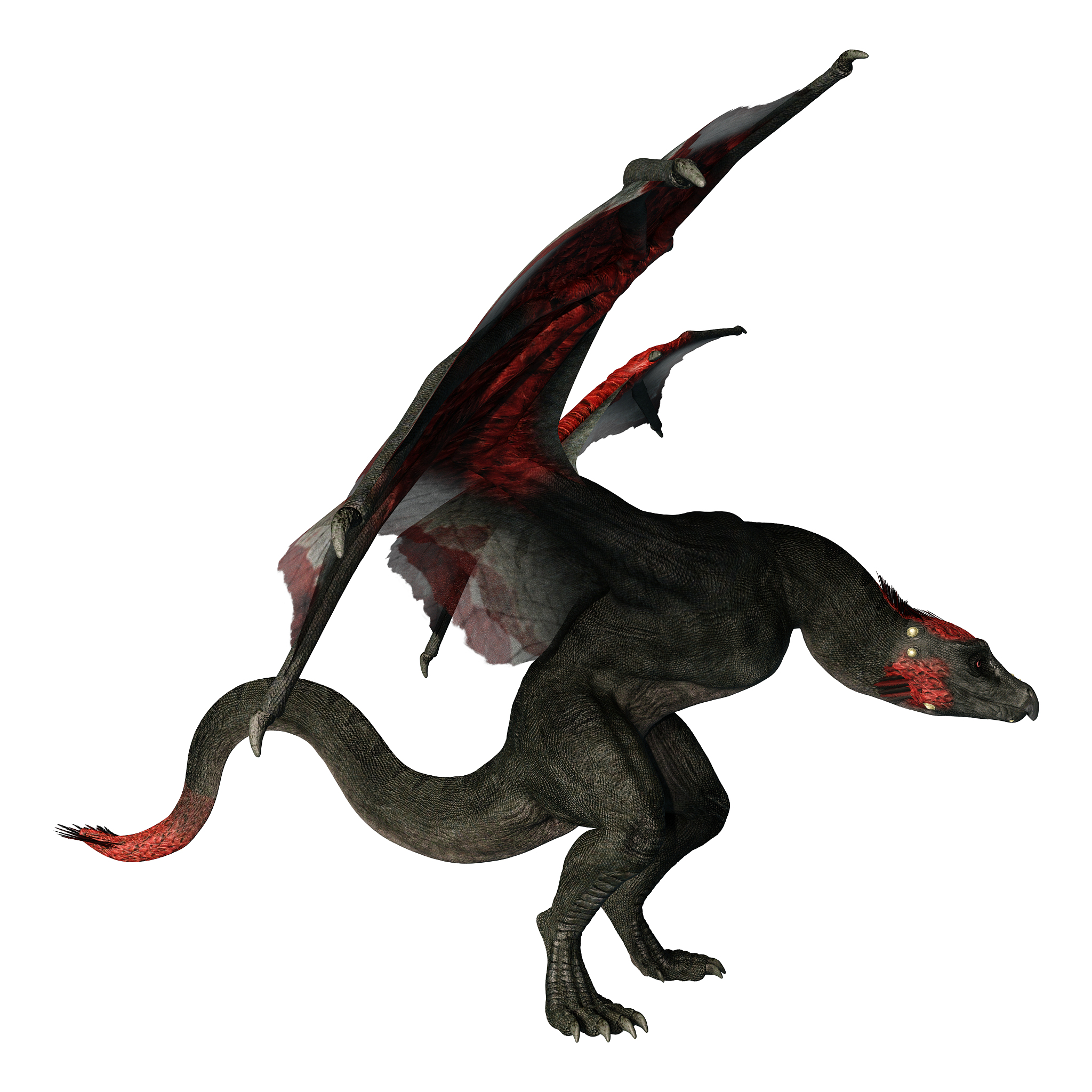 3d illustration fantasy dragon on white
