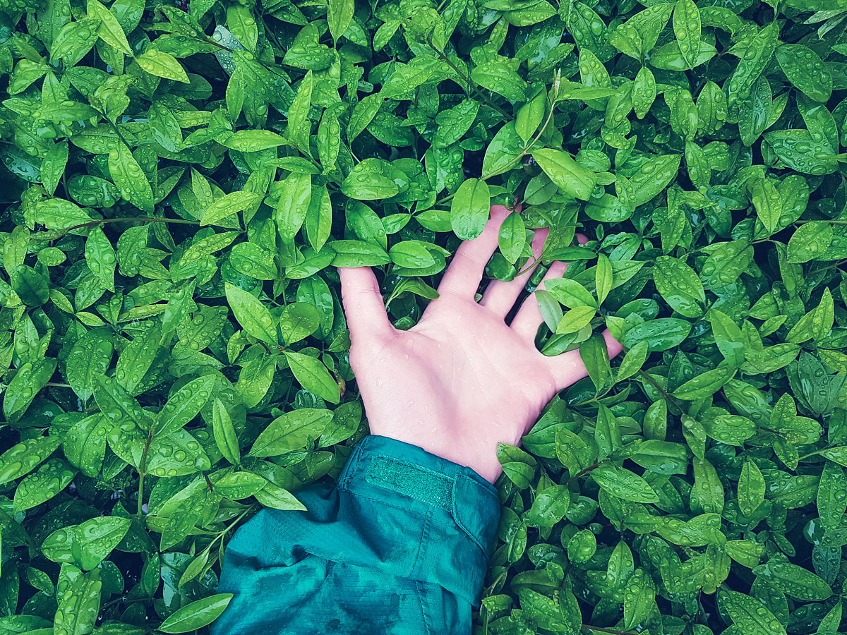 自然辩证法论文3000字研究生