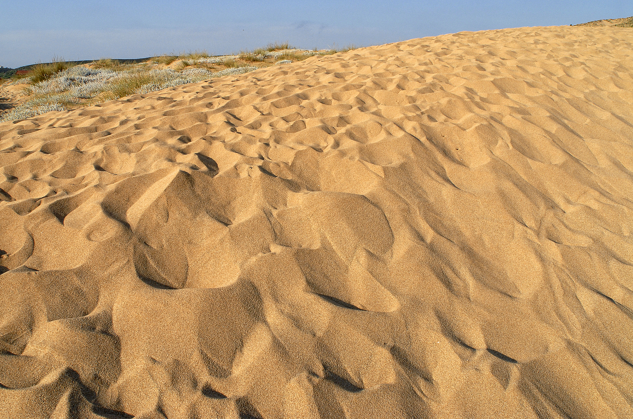 beach sand