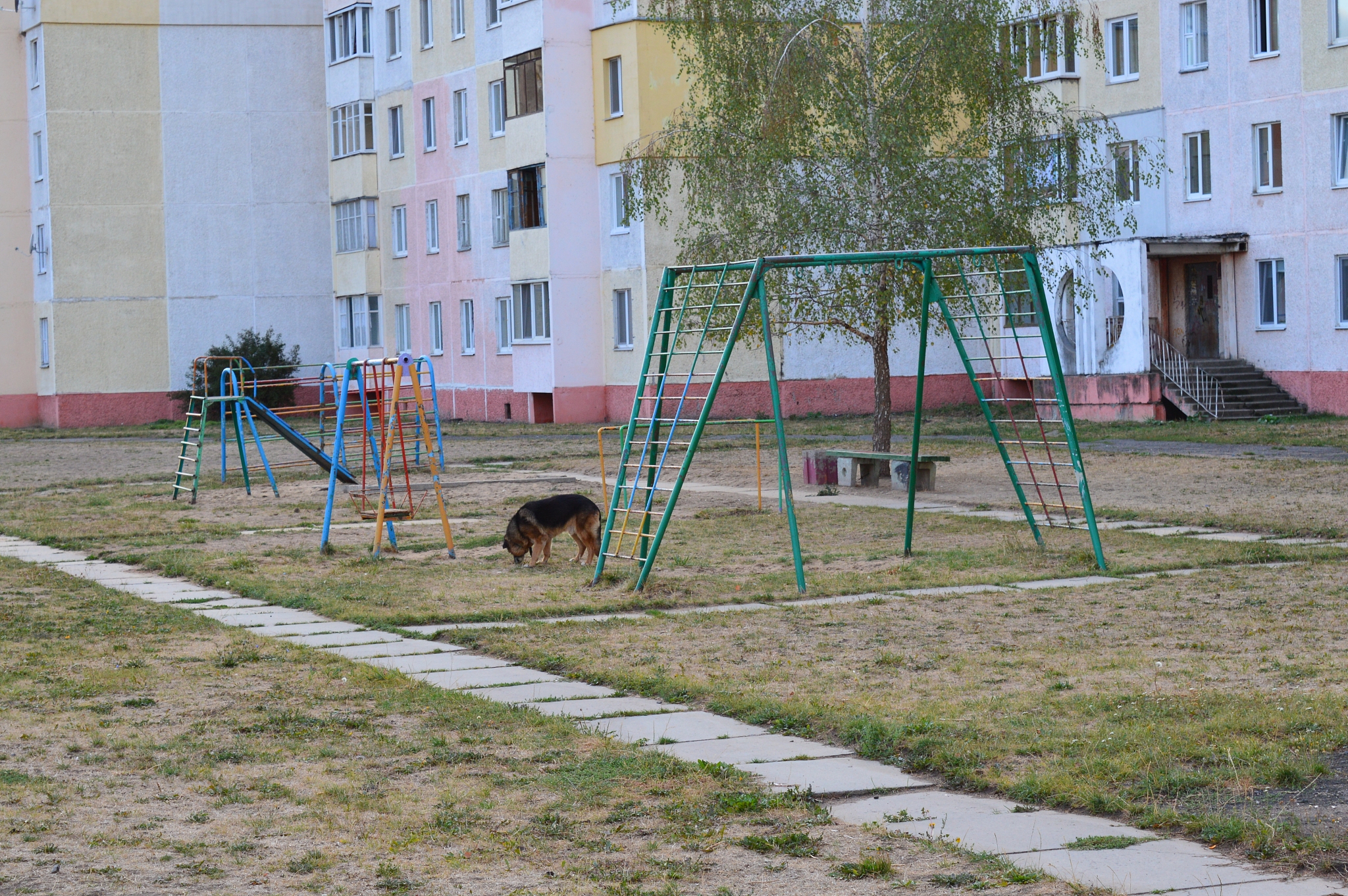 邵阳城南公园有鬼屋吗？真相揭秘！