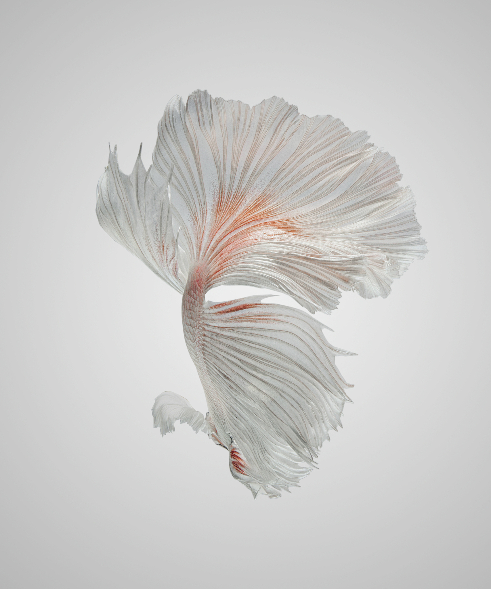 潜江市职业教育中心淡水养殖专业怎么样？专业怎么样？