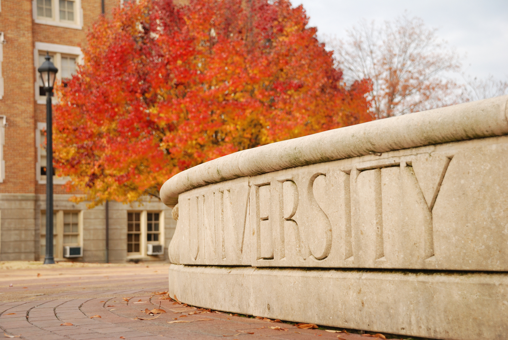 university in autumn