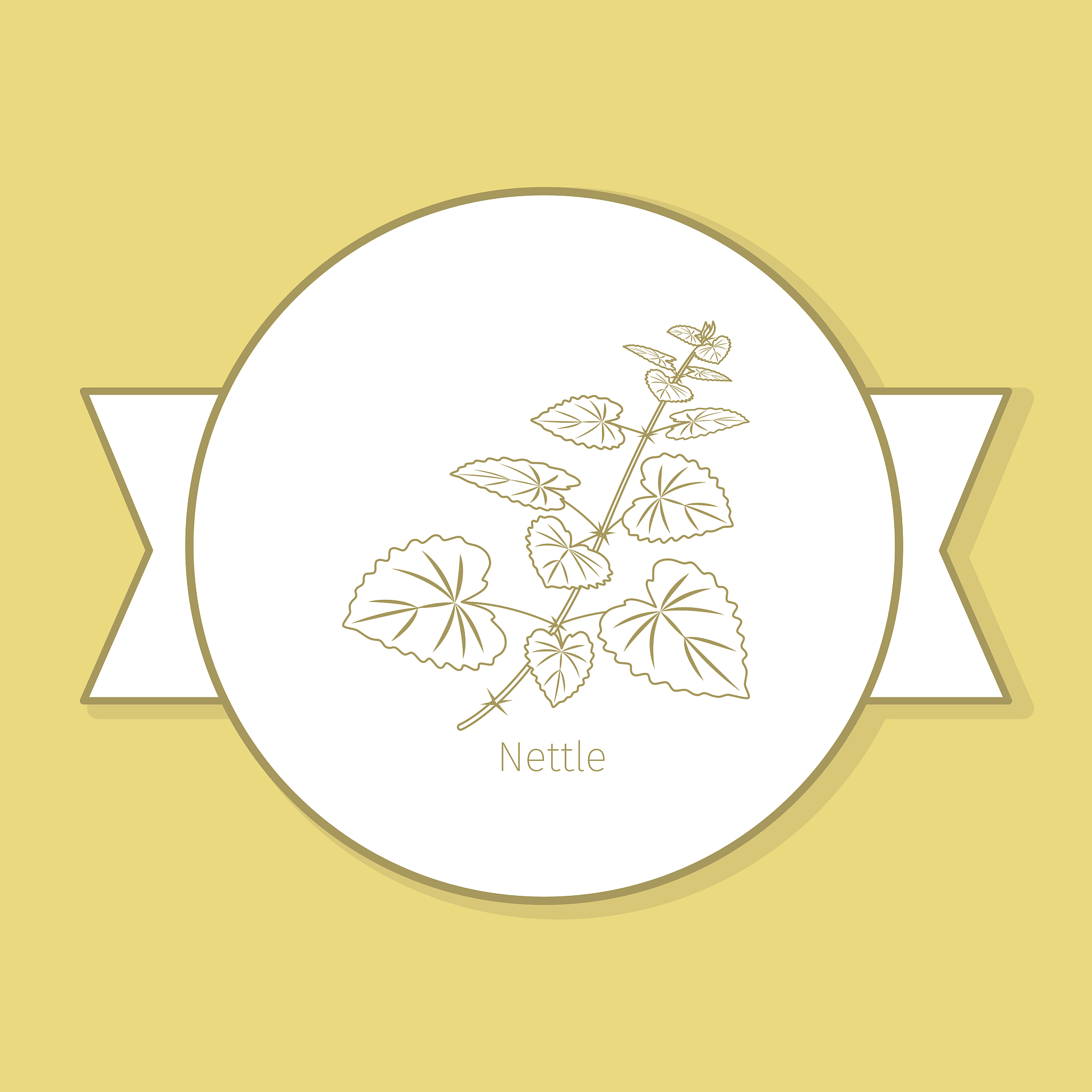 2022年江西中医药大学中药制药专业招生