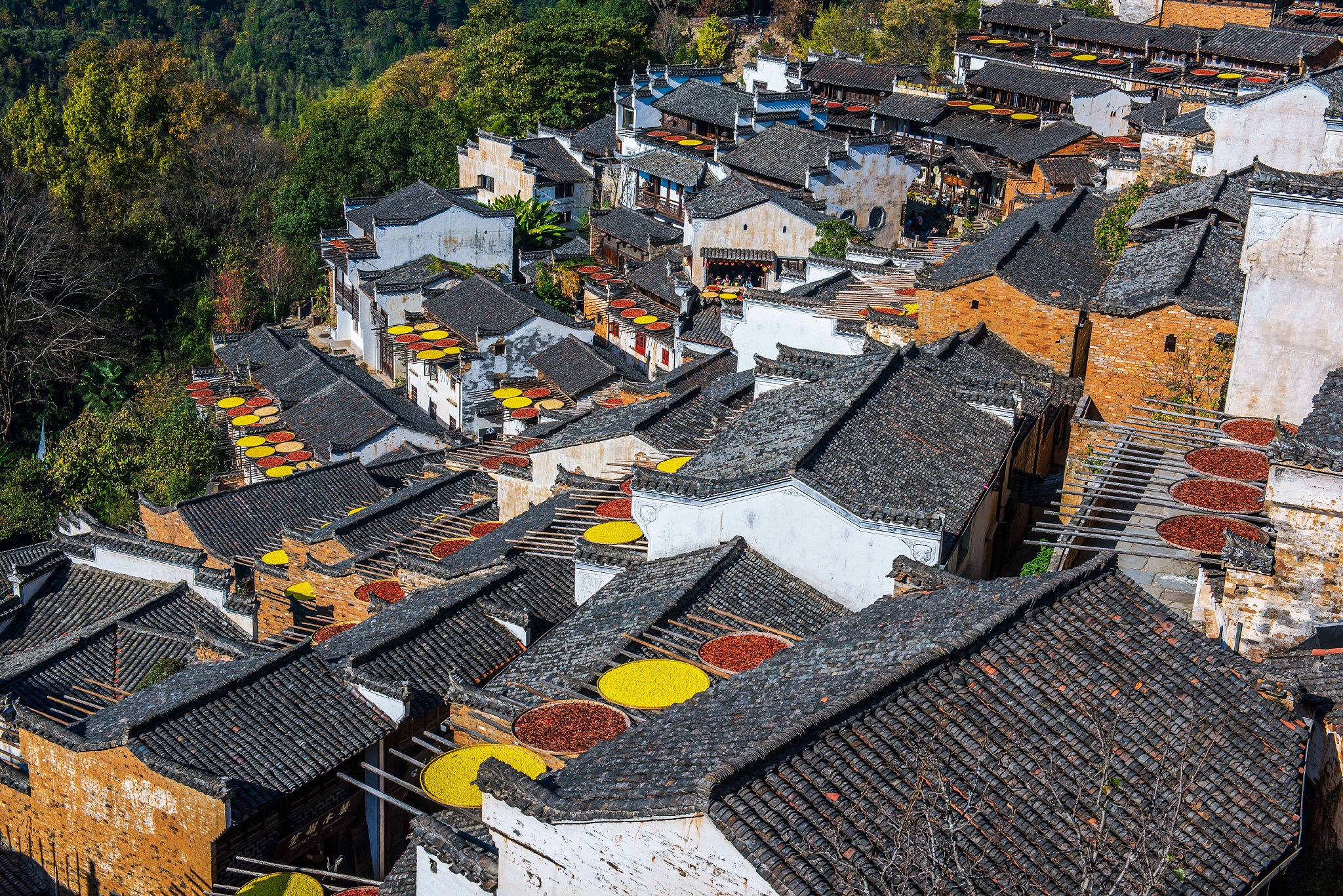 留住传统村落灵魂：保护'活'的传统文化，传承发展江南文化