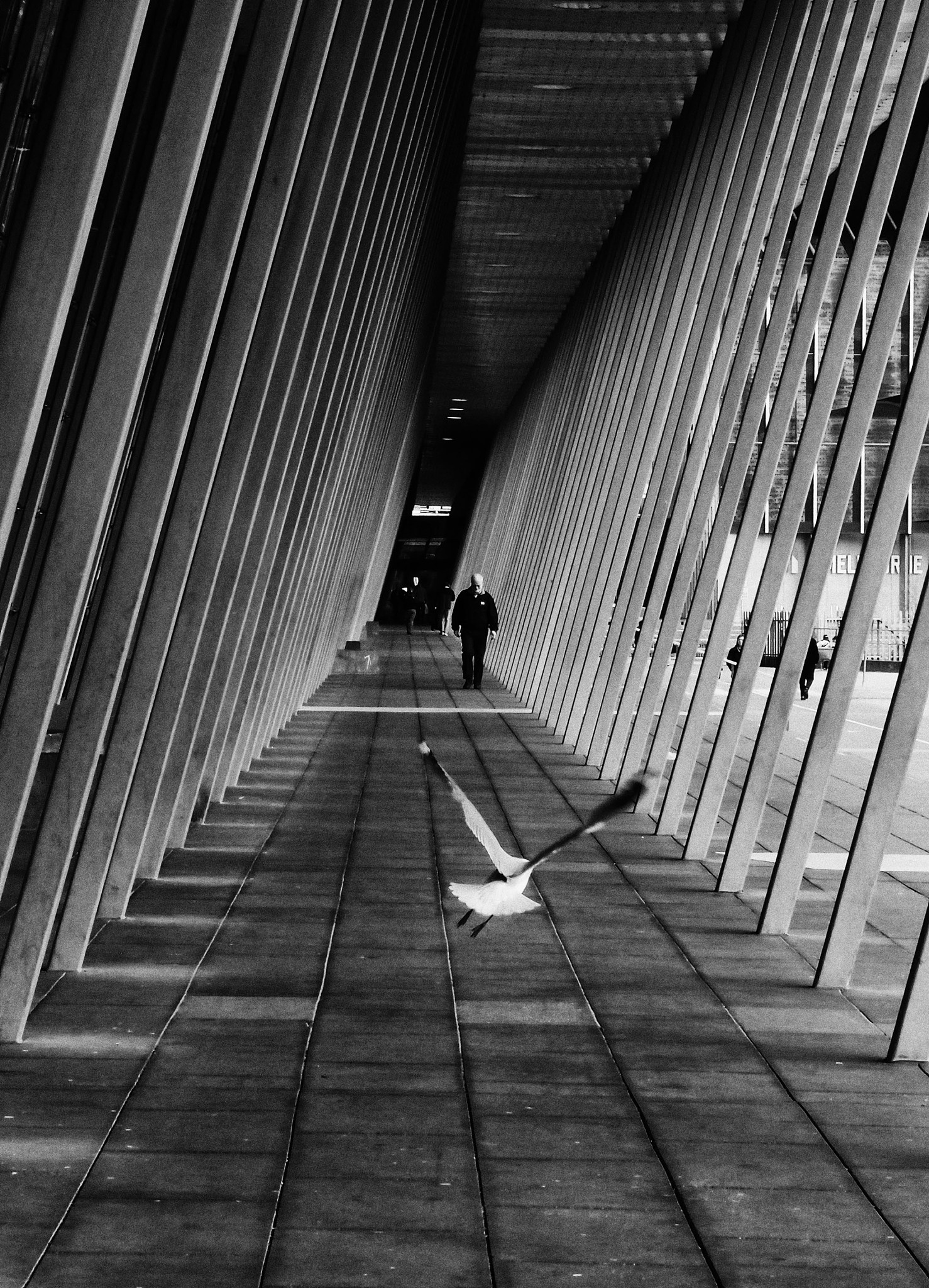 以摄影师的身份写一篇1200字关于如何运用线条构图拍摄出视觉冲击力强的照片？的文章