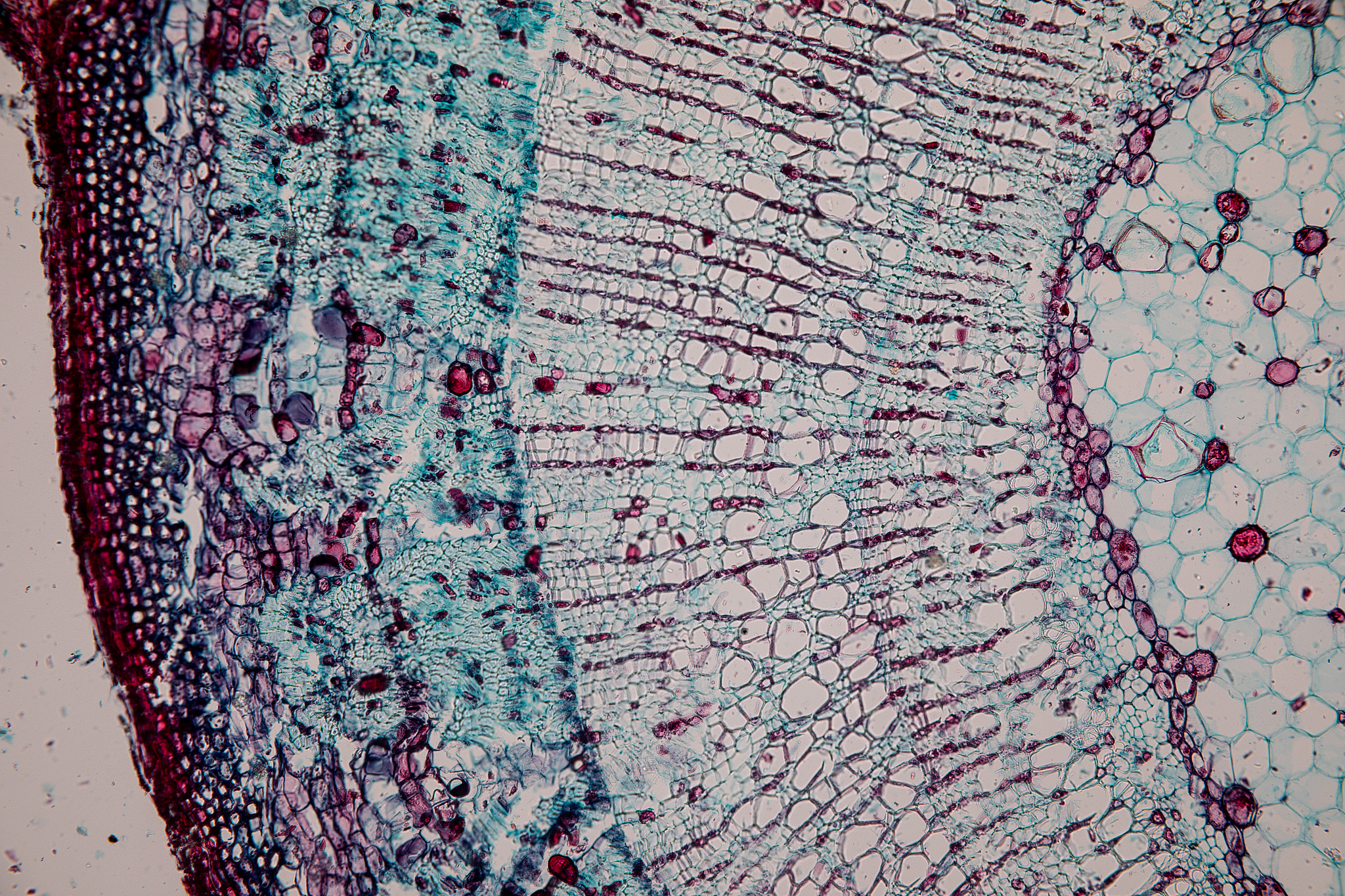 多孔介质裂隙中的椭圆细颈喉道参数及裂喉研究