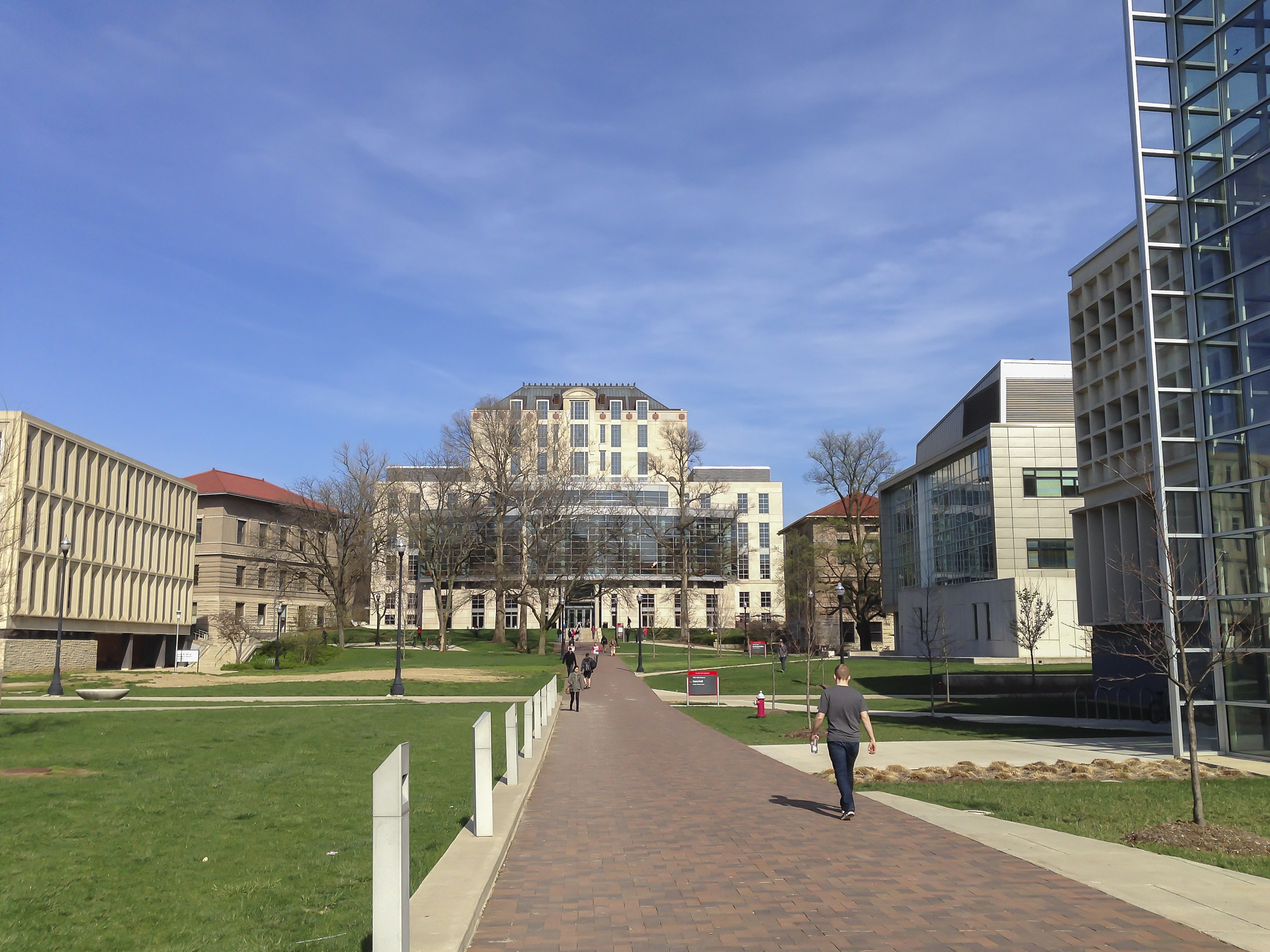 ohio state university