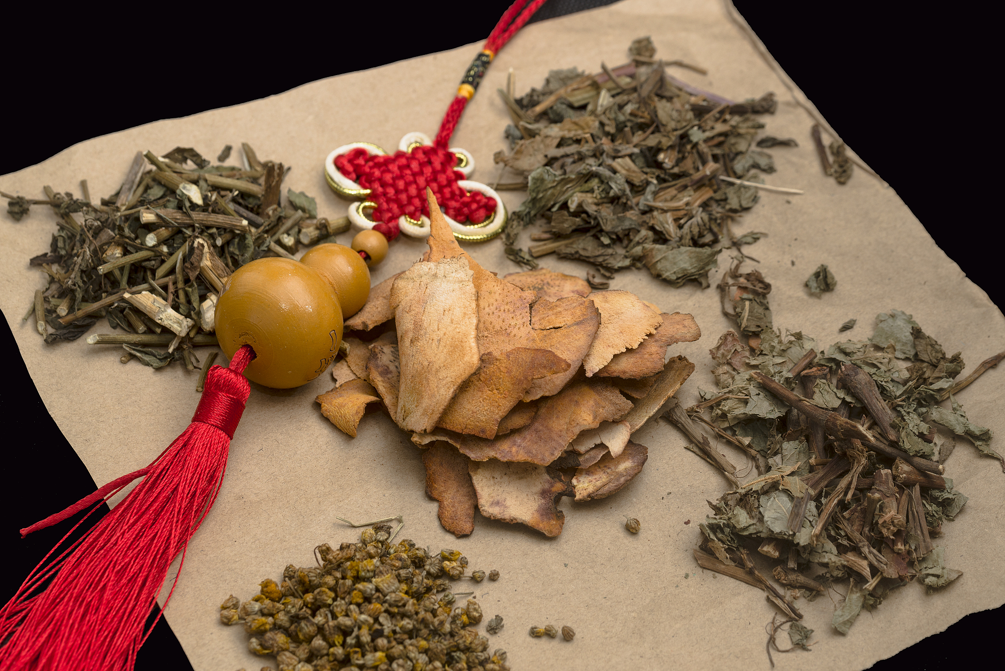 贵州中医药职业学校招生要求用