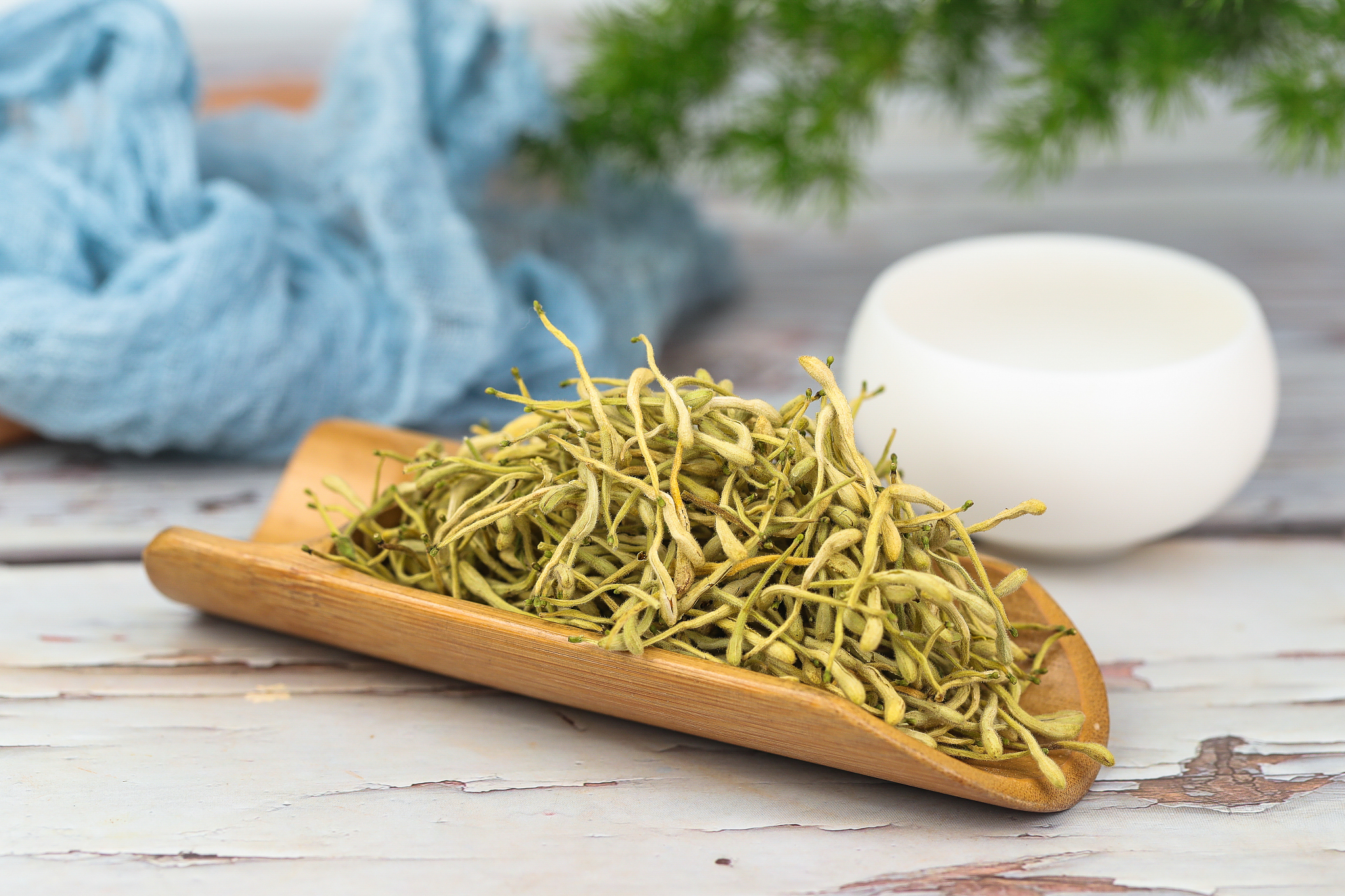 金银花的功效与作用200字左右详细描述一下