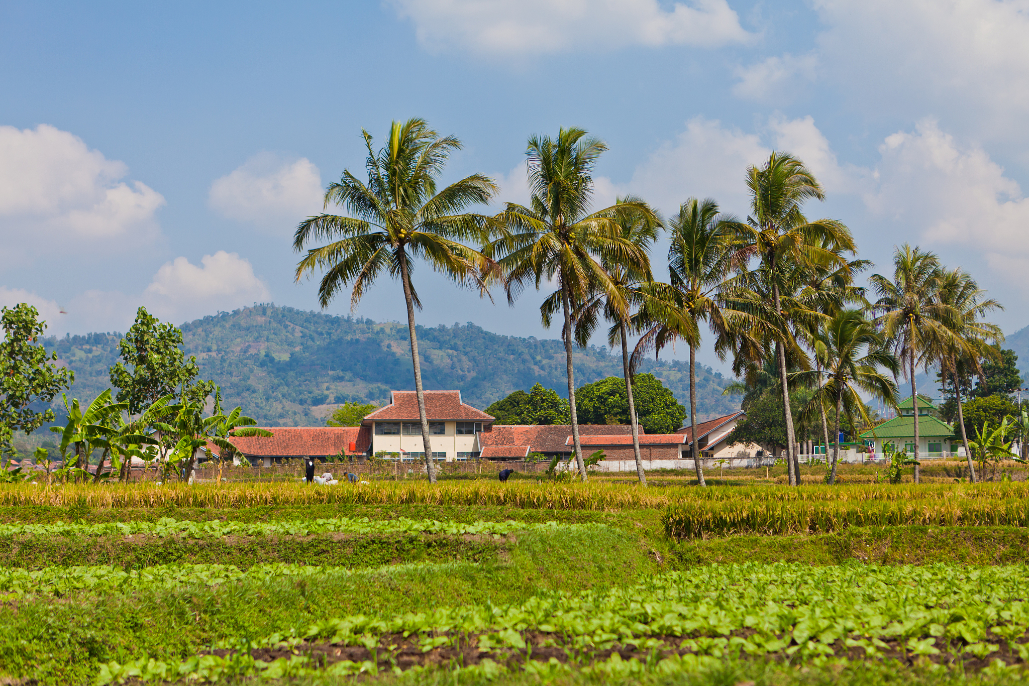 Java 计算工资涨幅：根据基本工资计算增加后的薪资