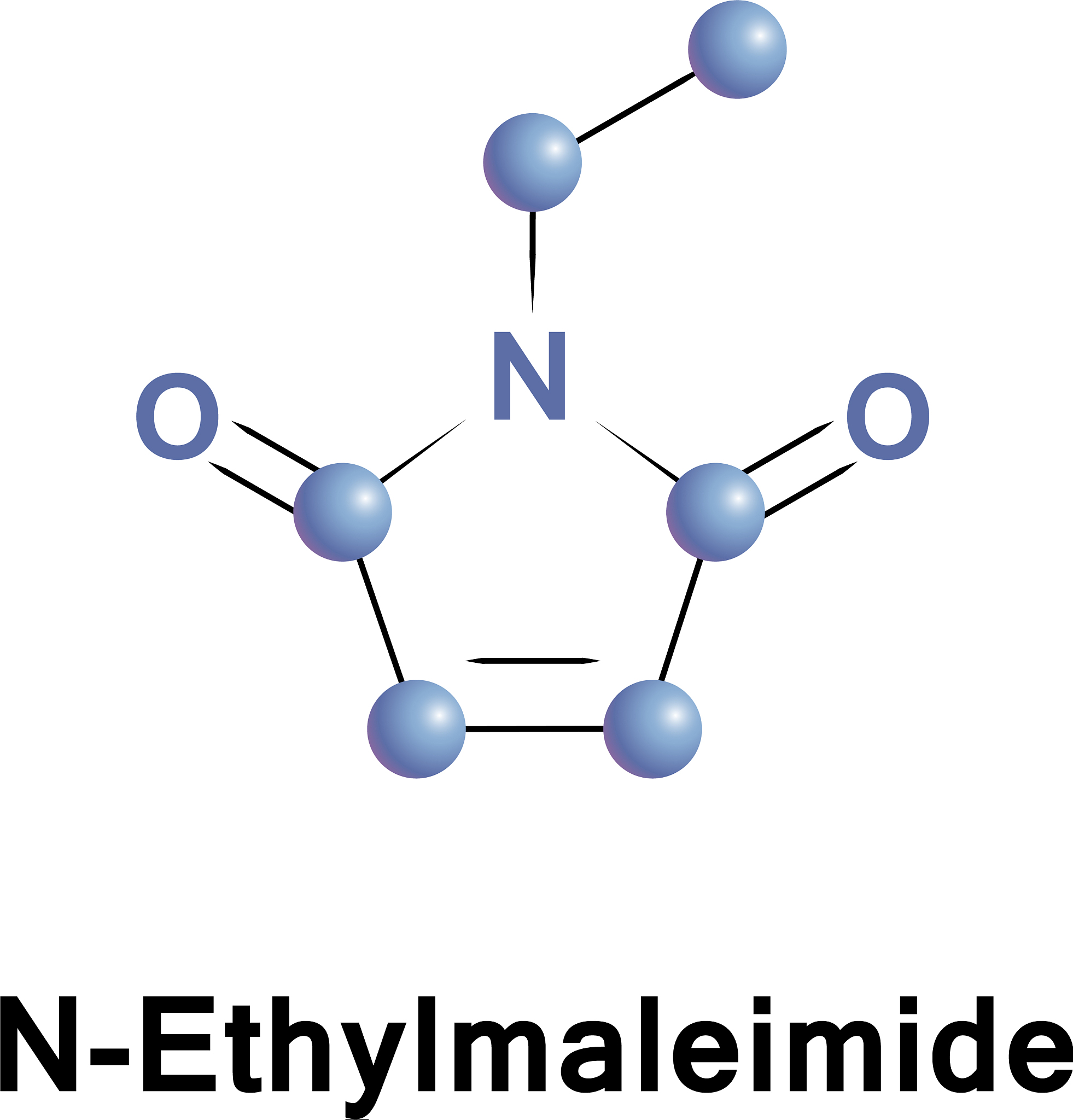 氮负平衡常见人群是