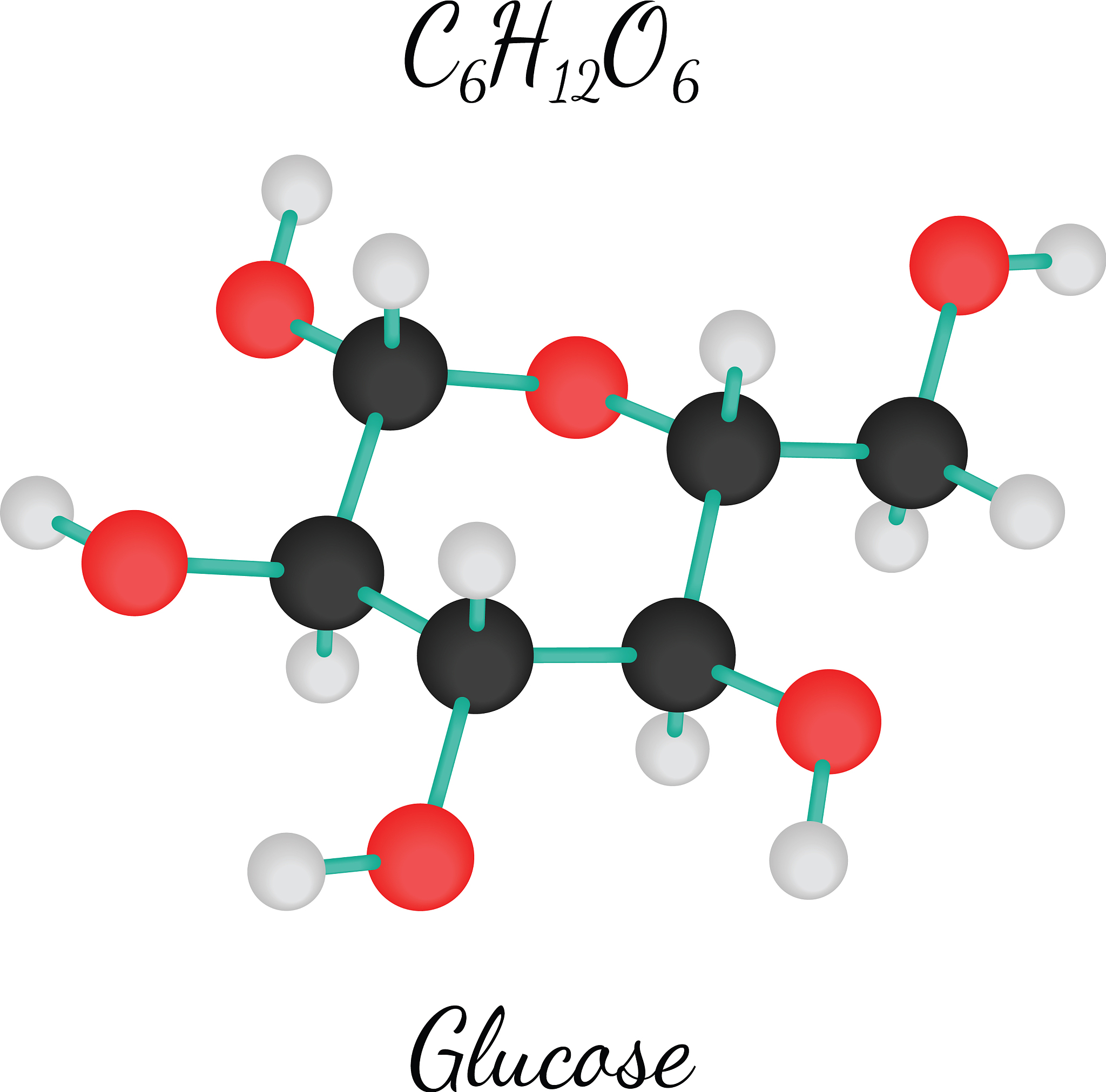 Homopolymers vs. Copolymers: Understanding the Difference