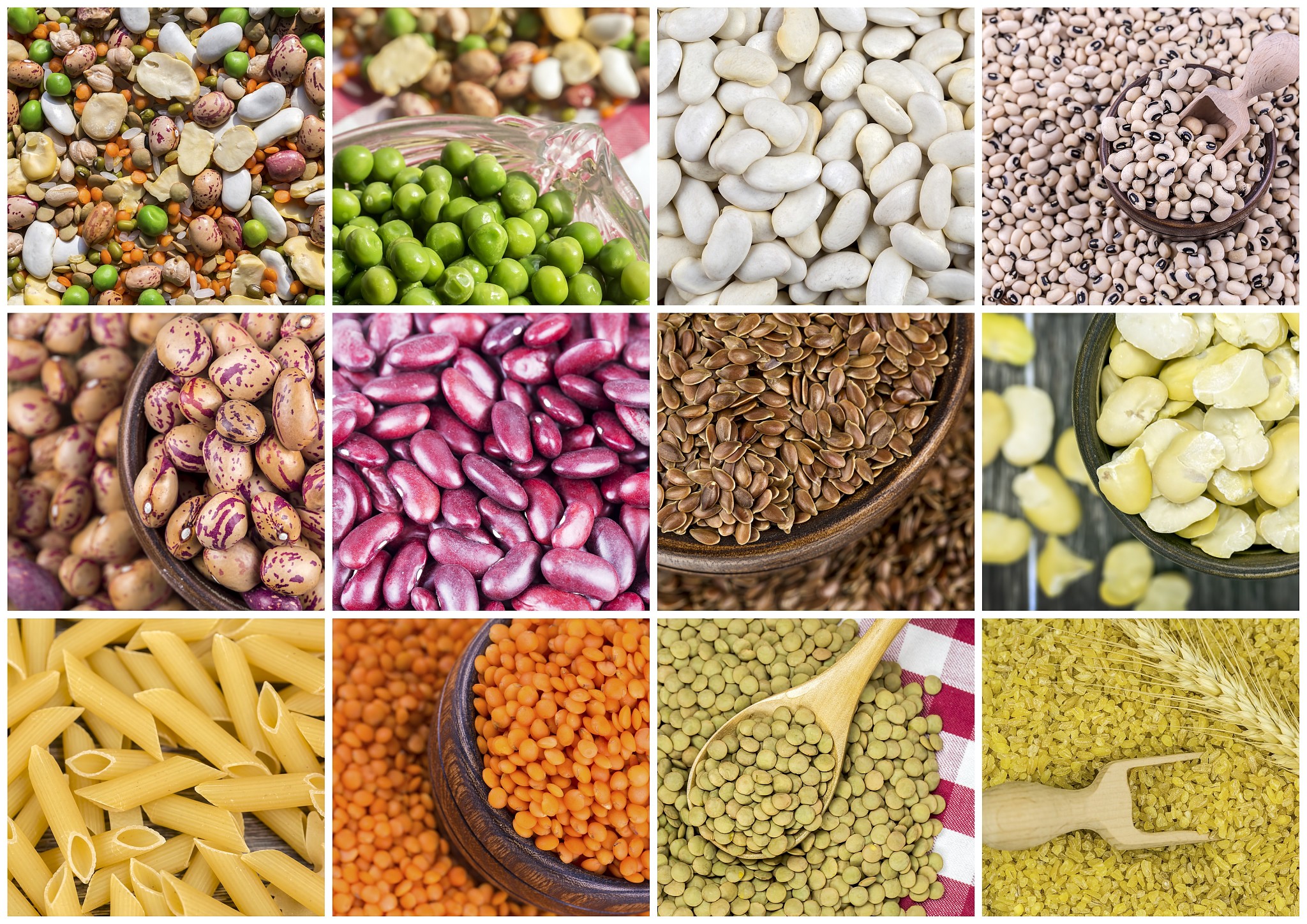 dried foods; mixed legumes. isoleted on the white background