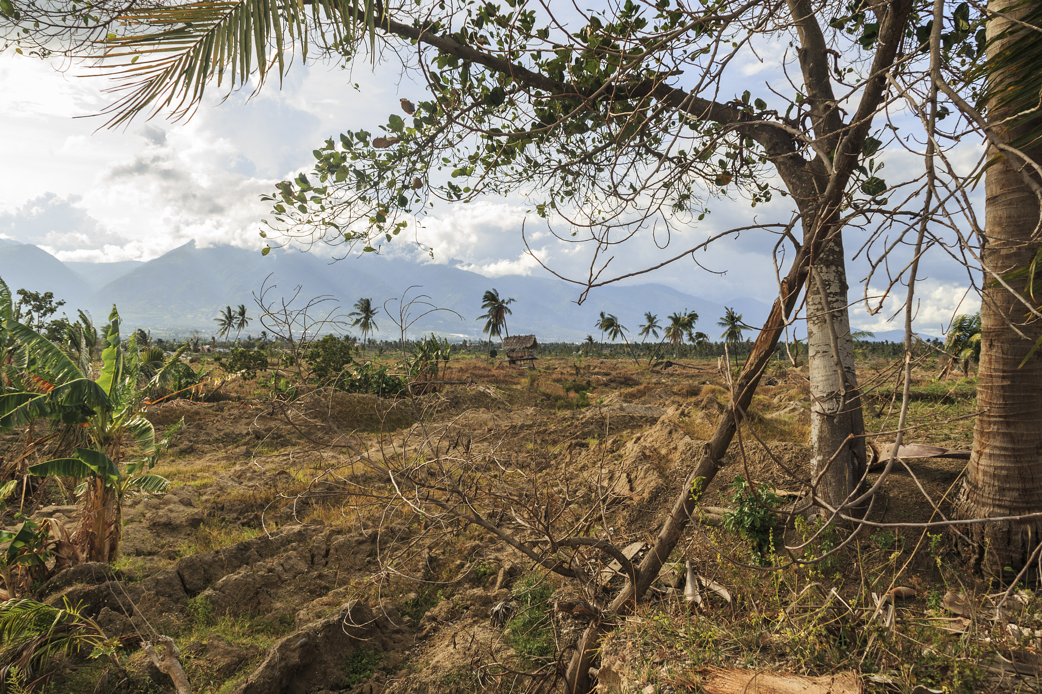 准备与意外：如何在不可预知的人生中保持从容？