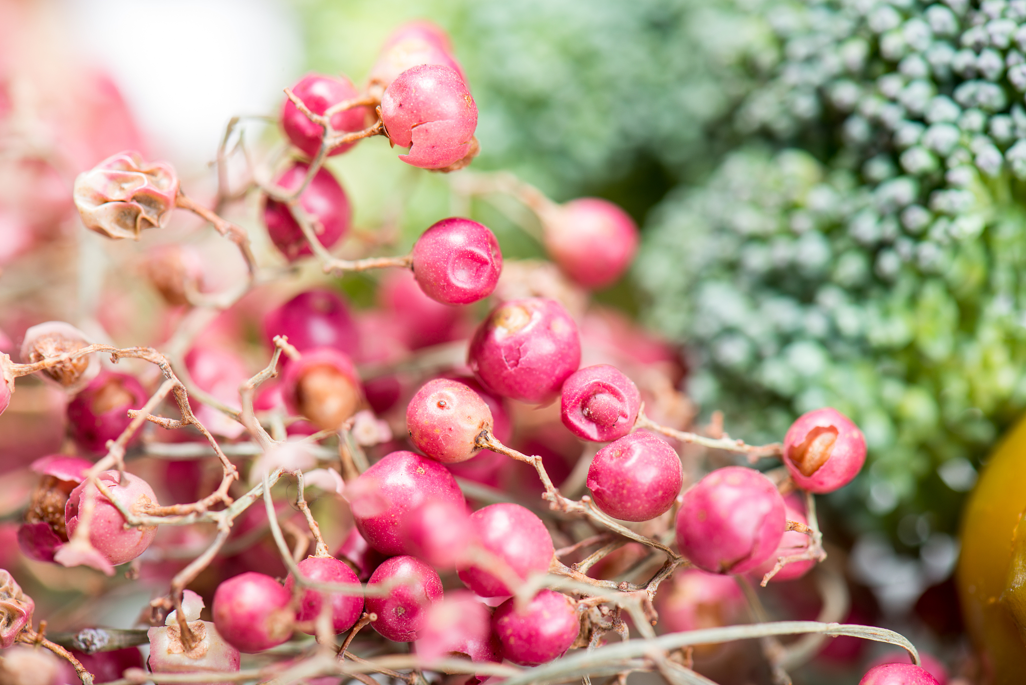pink peppercorns in macro