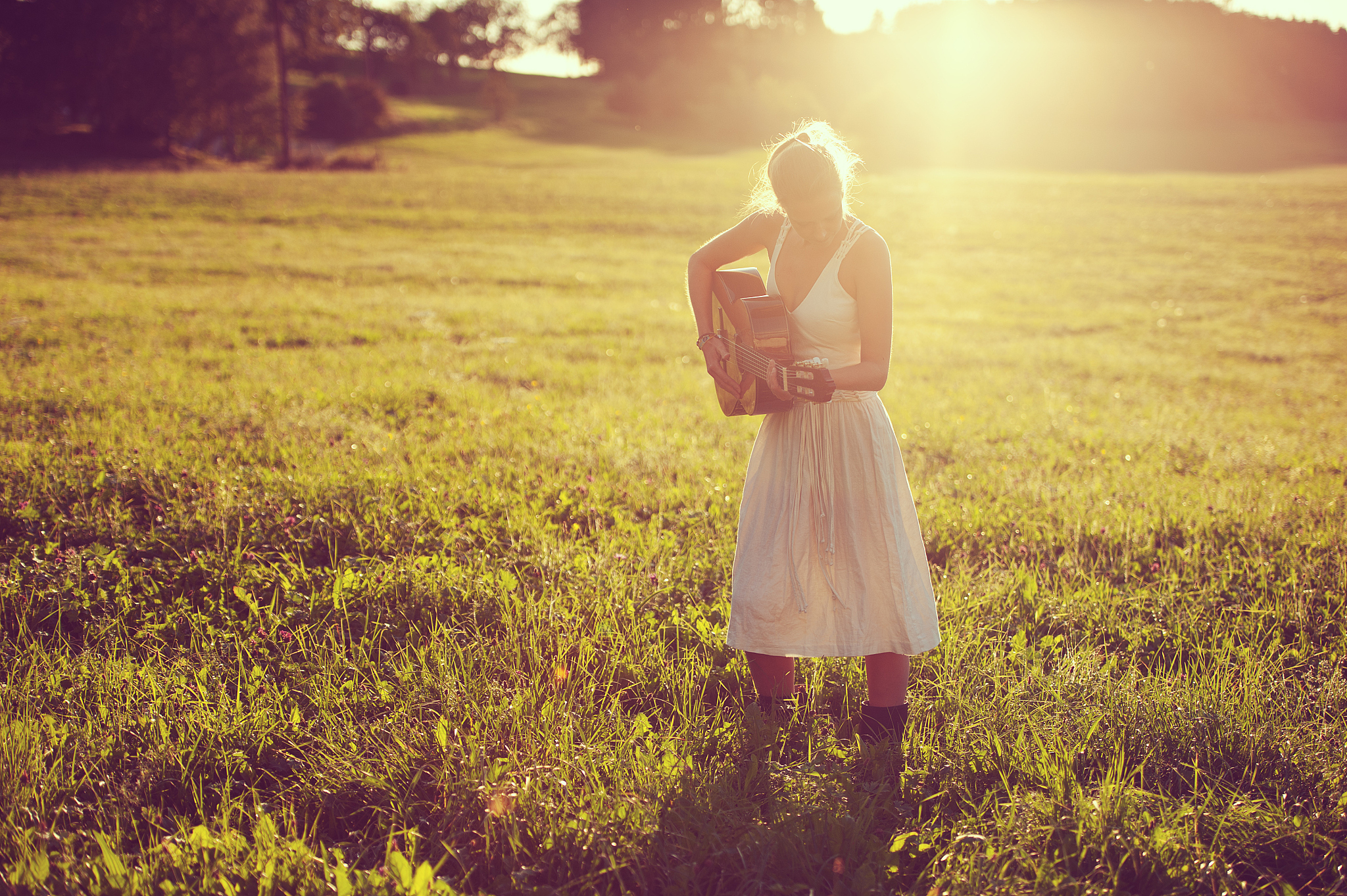 乡村反抗之歌 - 自由的旗帜 (原创中文歌曲)