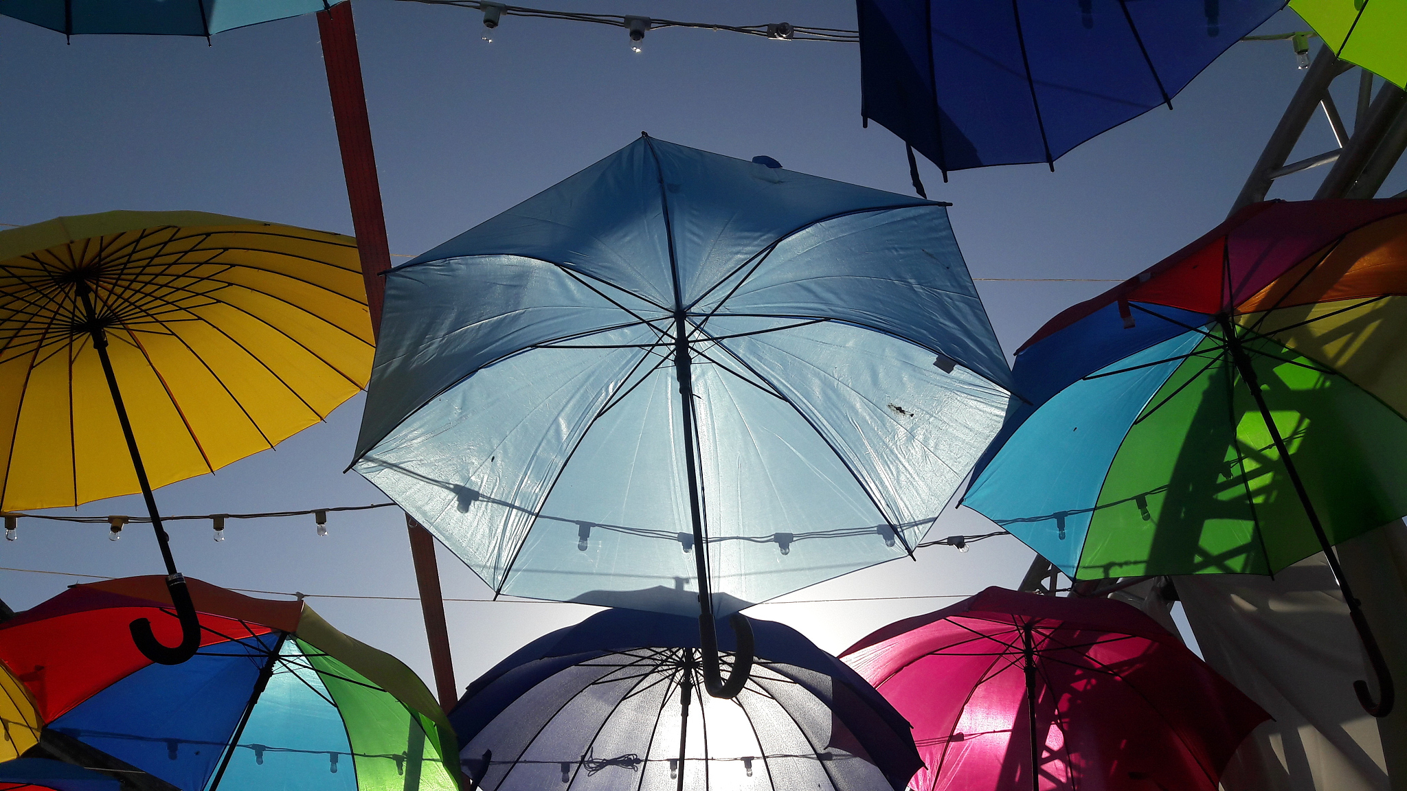 low angle view of multi colored umbrellas