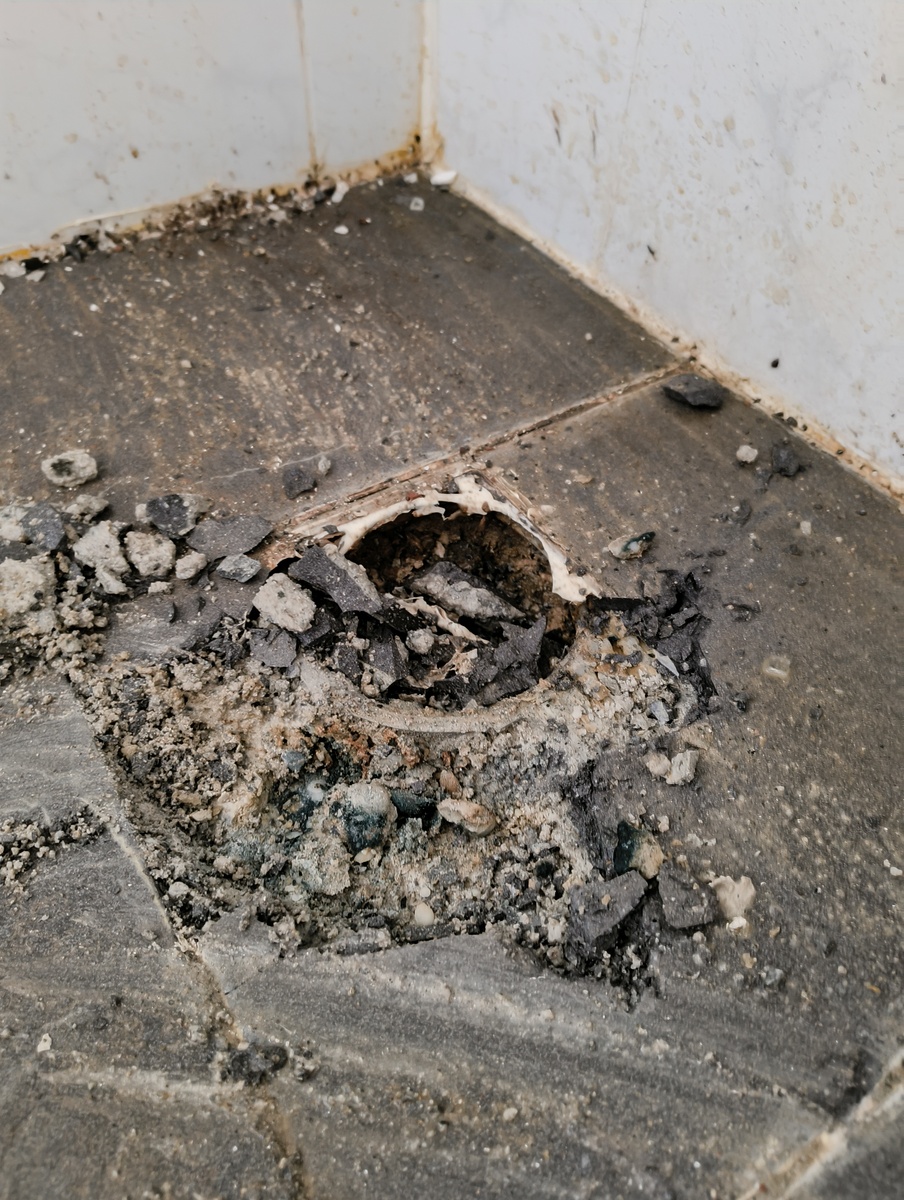 苍蝇在楼道地上爬行然后飞起来会把地上的毛絮都带动起来帮我用200字详细描述