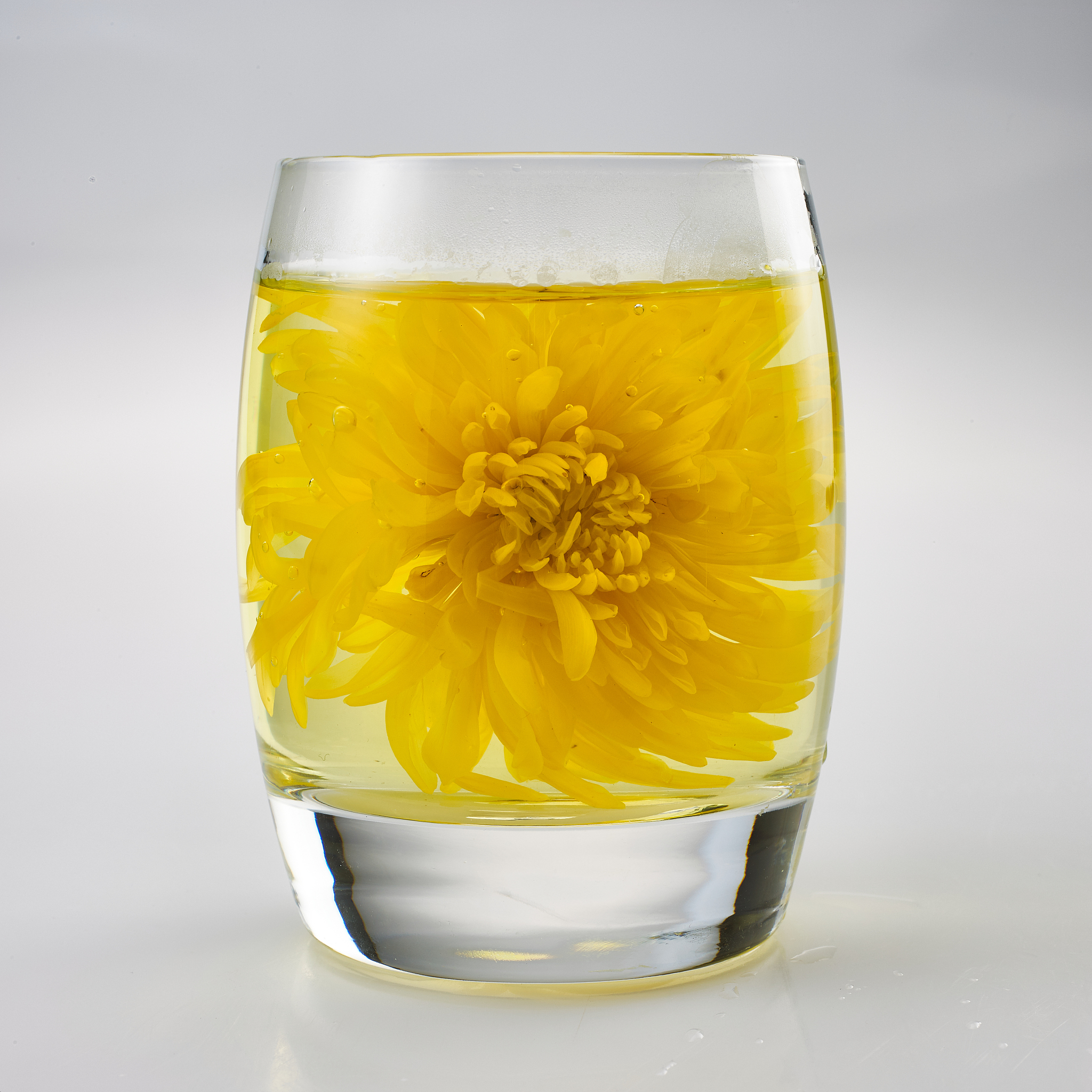 徽州农业电视节目名称推荐