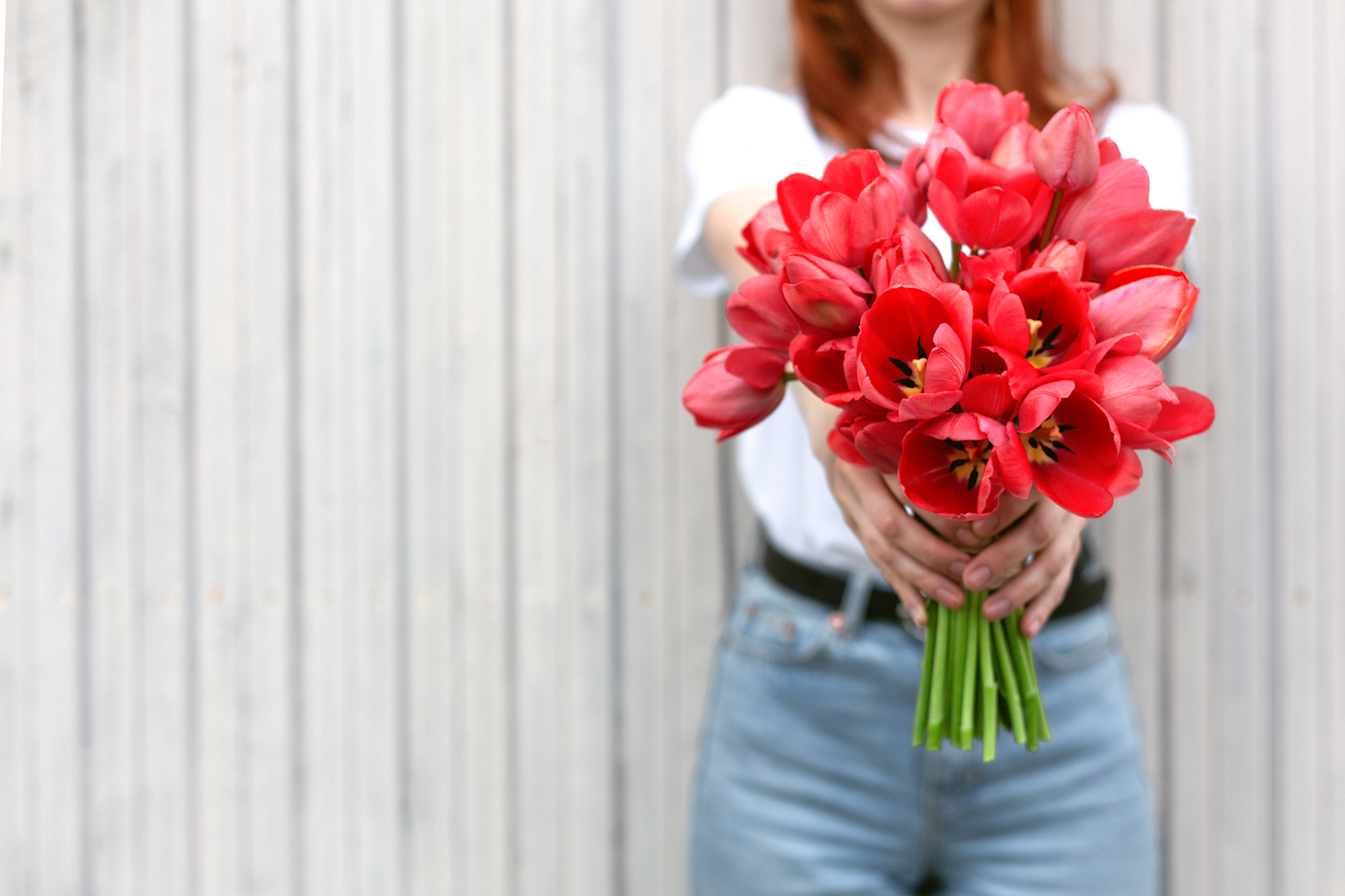 woman holding bouquet of red tulips. copy space.