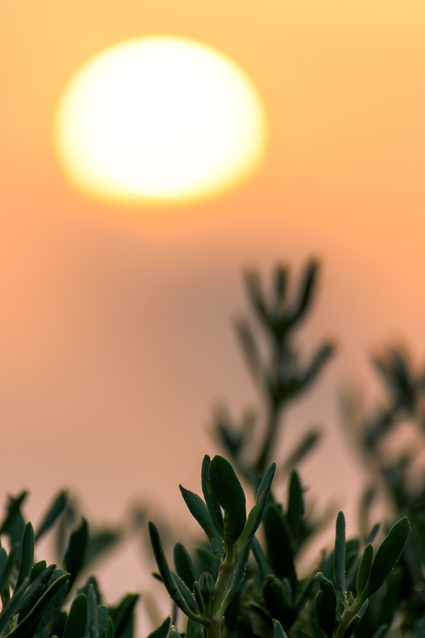 晨曦唤醒：重拾内心的力量与坚持