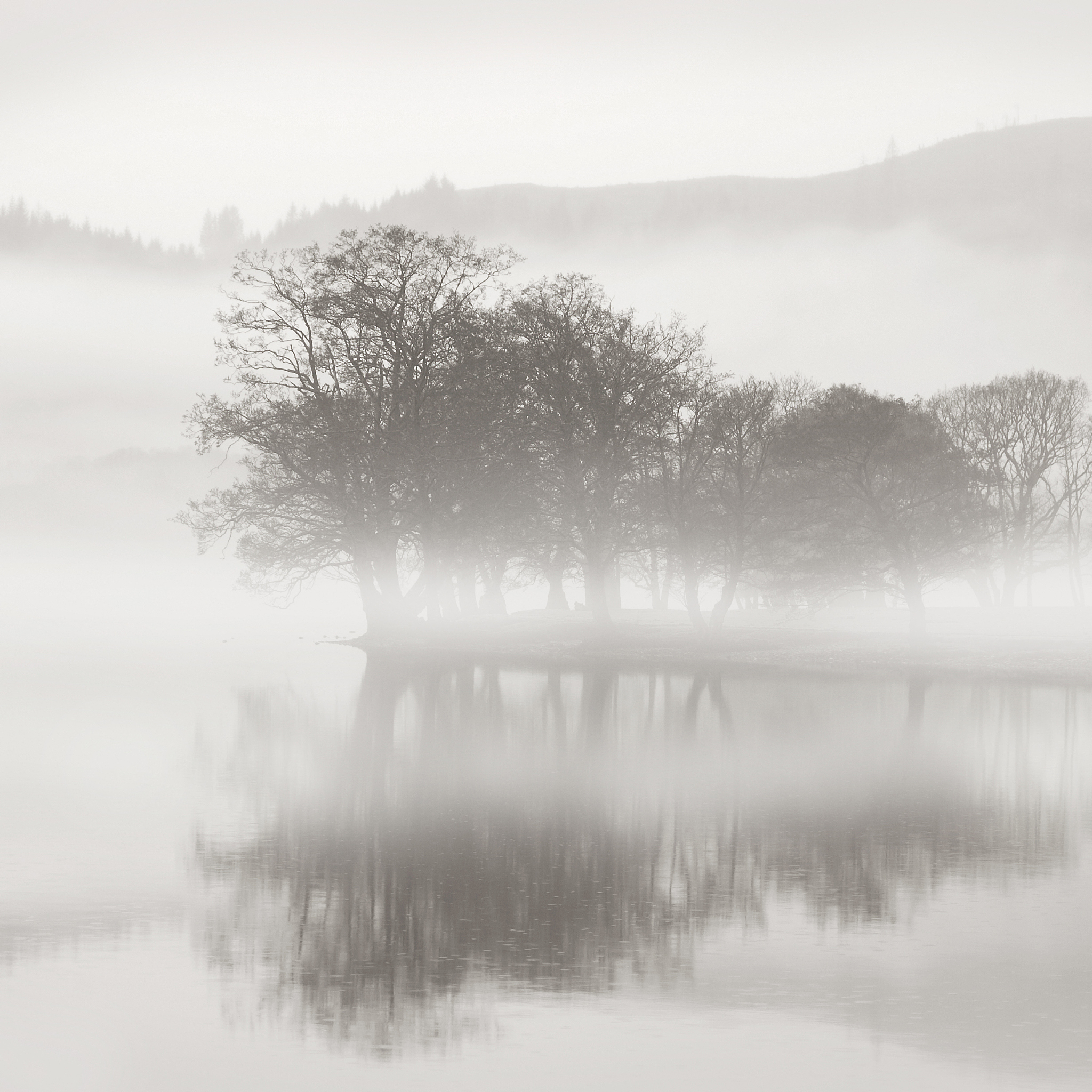 关于朦胧的短句