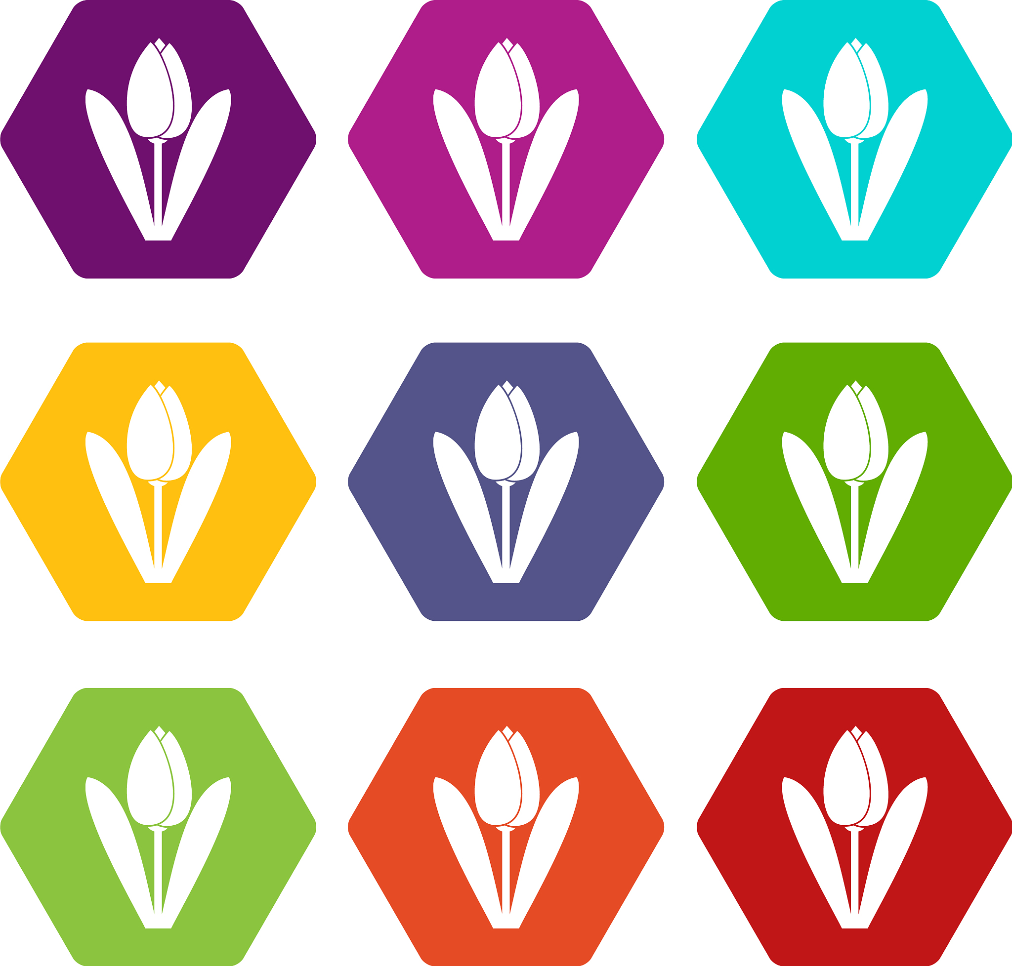 20张随机图片链接 - 来自Picsum.photos