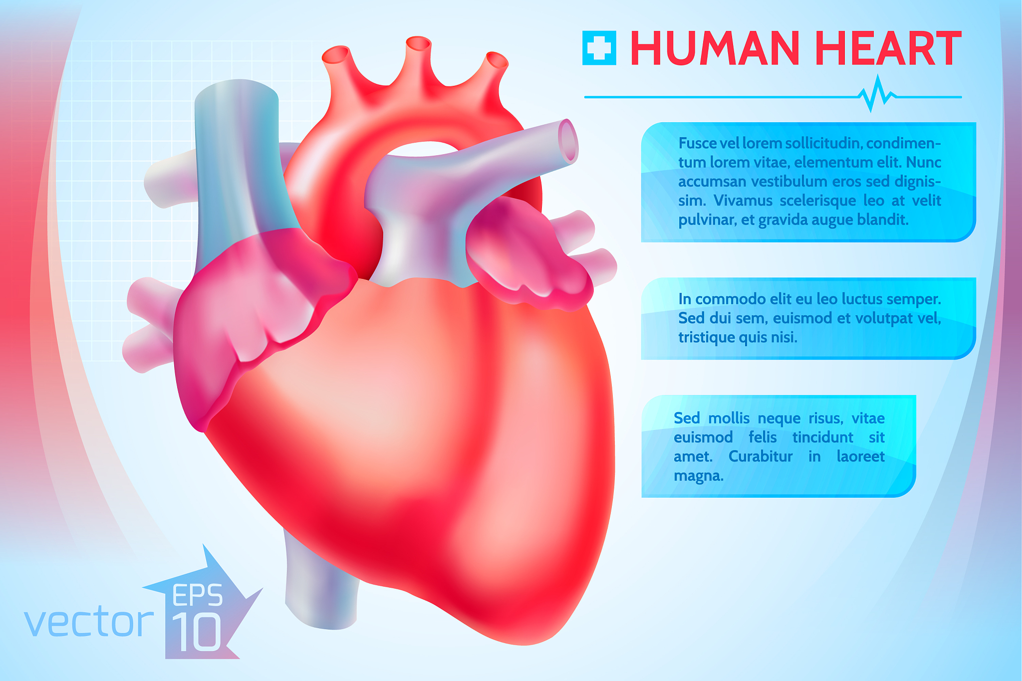 心脏膜瓣病手术治疗患者的活动与康复护理