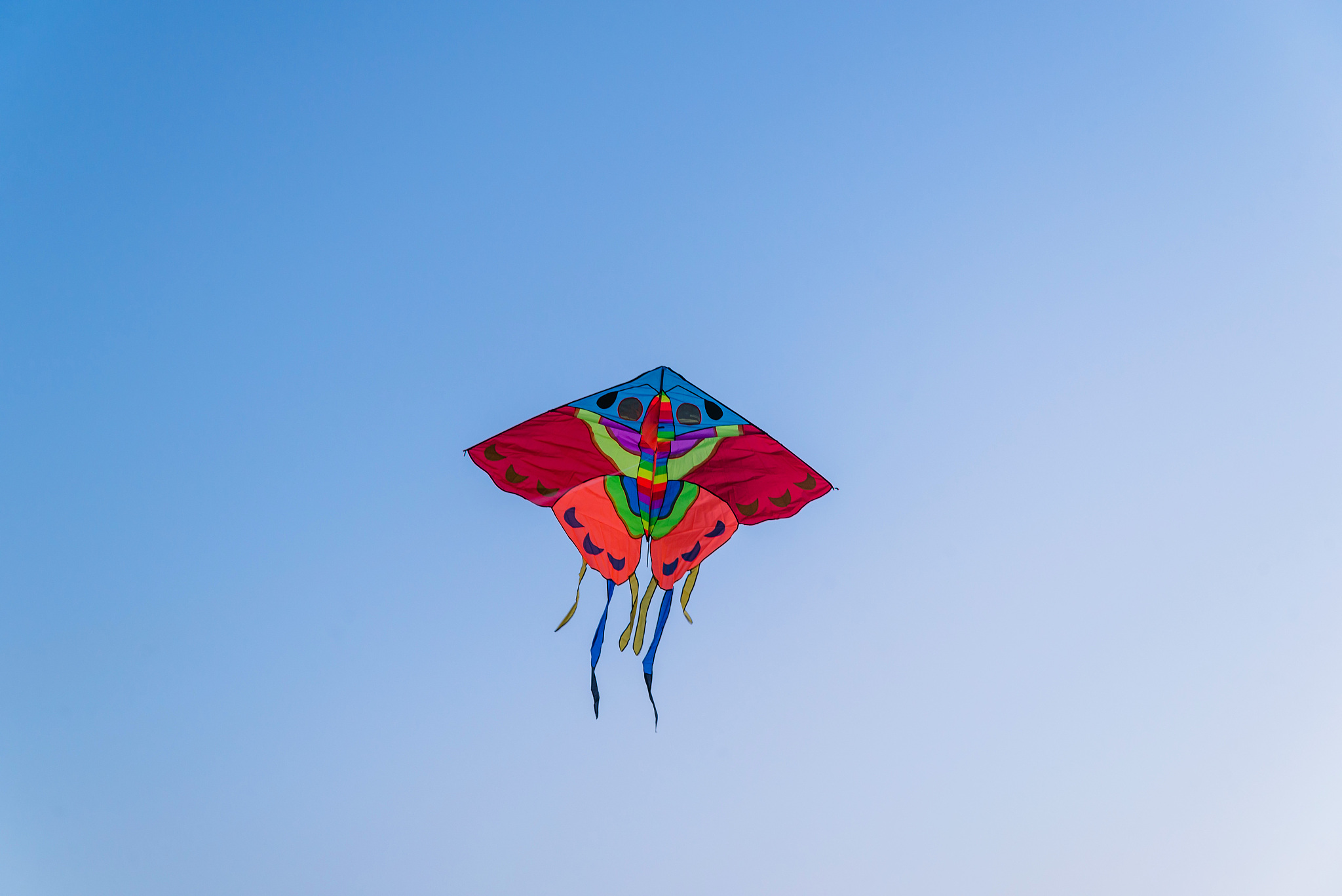 kite flying in the blue sky