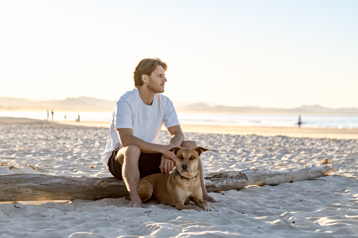 人与狗在海边散步：一幅美丽画面的描述