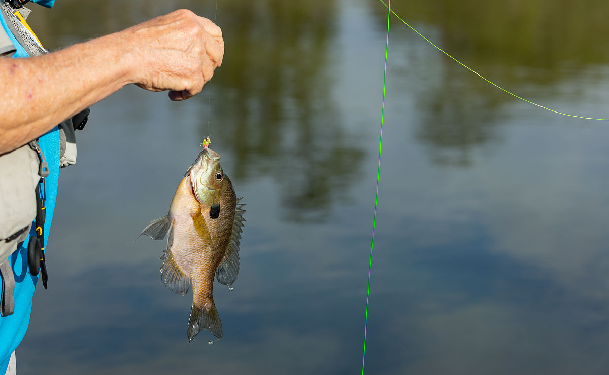 既然有了渔网为什么我们还要用鱼钩来钓鱼？