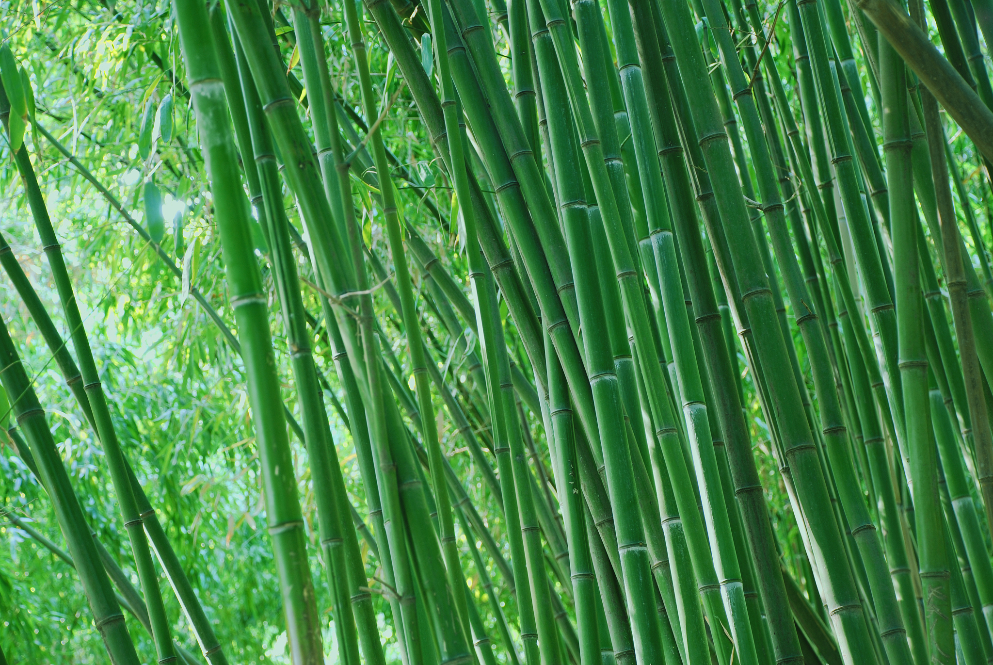 奇门遁甲改善房屋风水布局：住宅风水布局不合理怎么办？