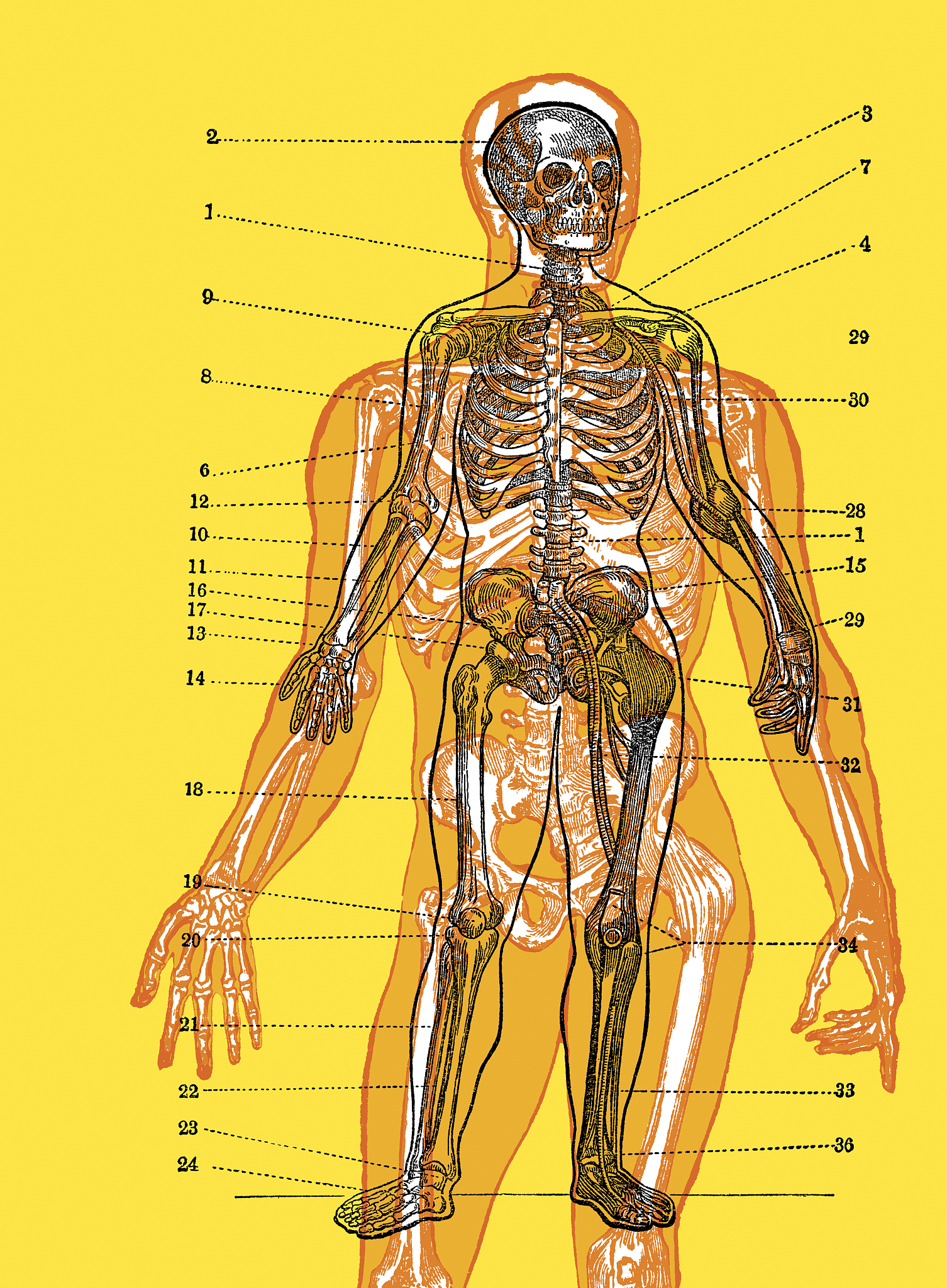 地理情境教学评价：评估标准与改进策略