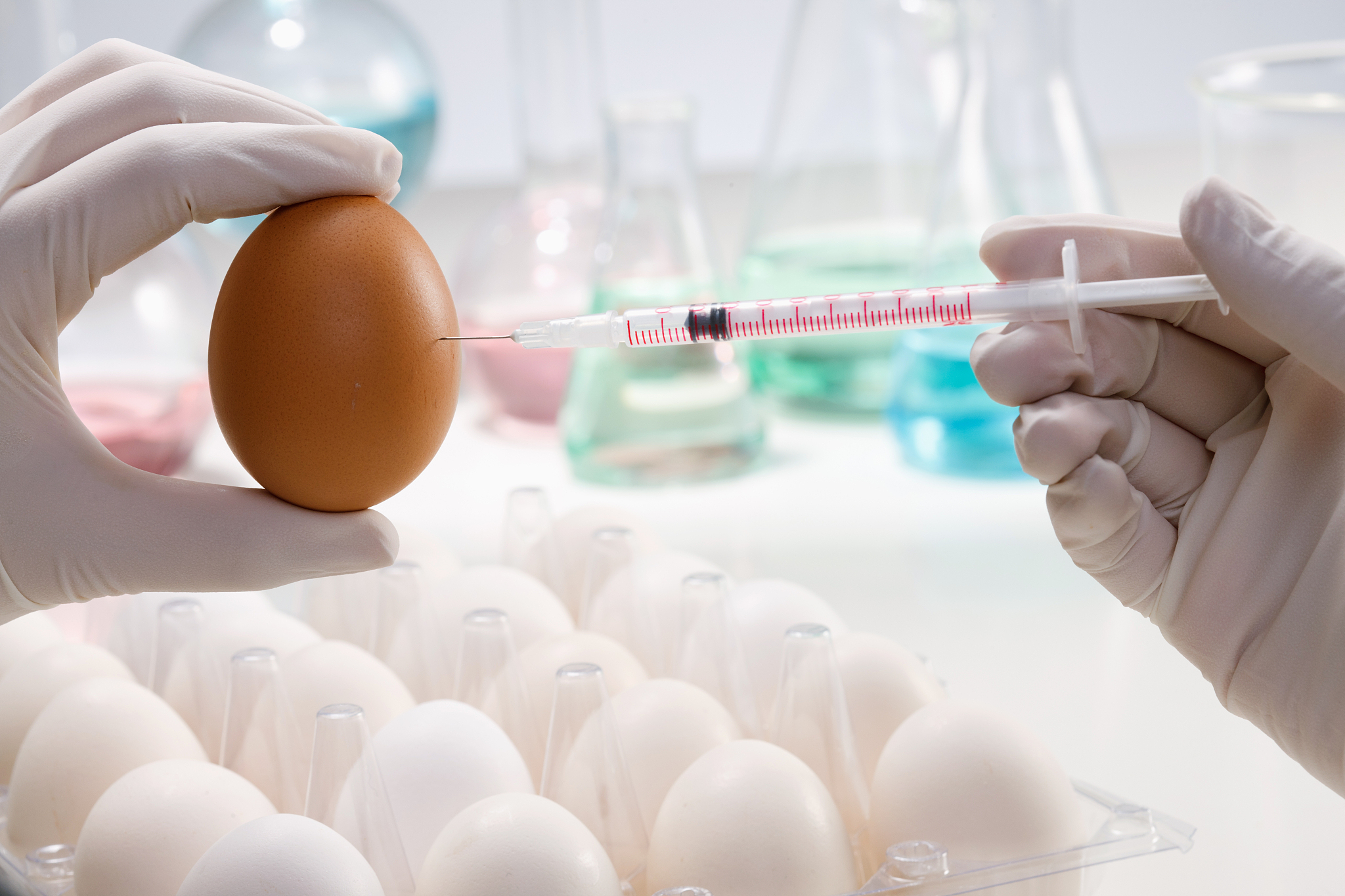 联合申报科研项目合作协议书