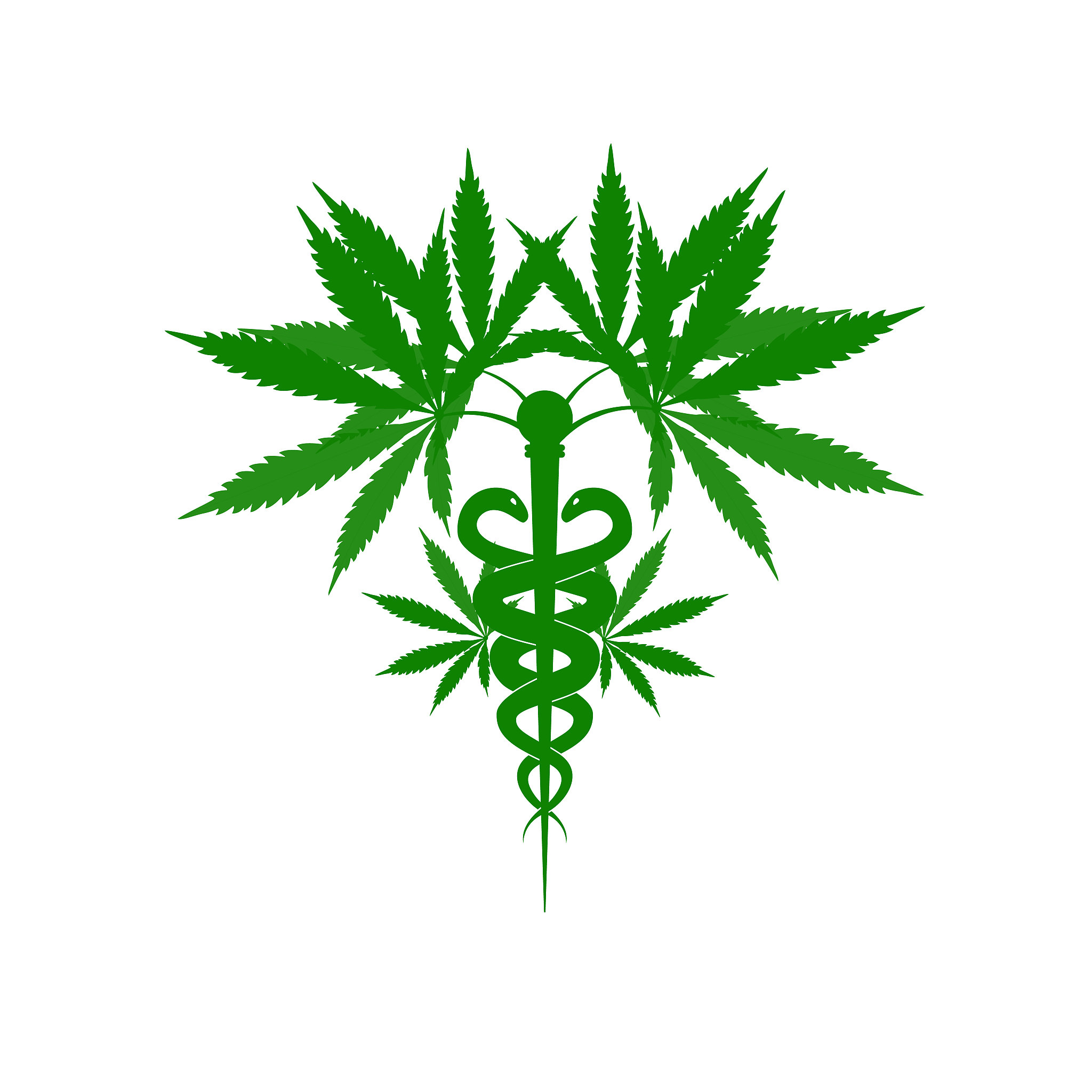 贵州药物制剂专业中专中职学校推荐：哪家好？