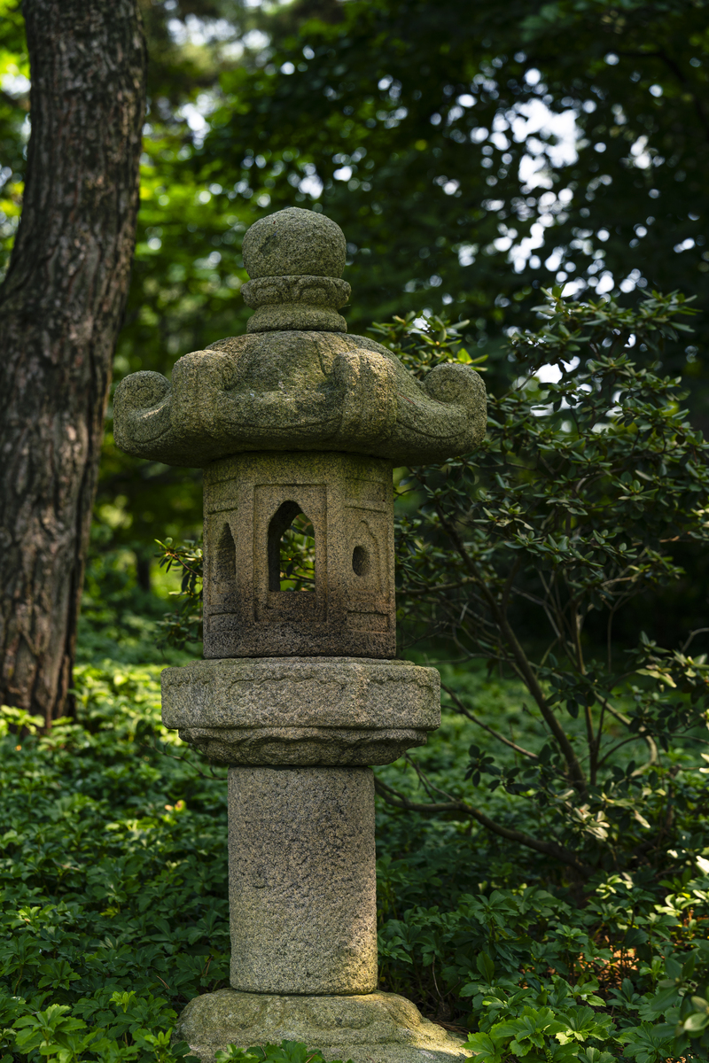 请描写一下一座神社里面有主殿两三个偏殿后院石碑石灯笼参天古树的样子