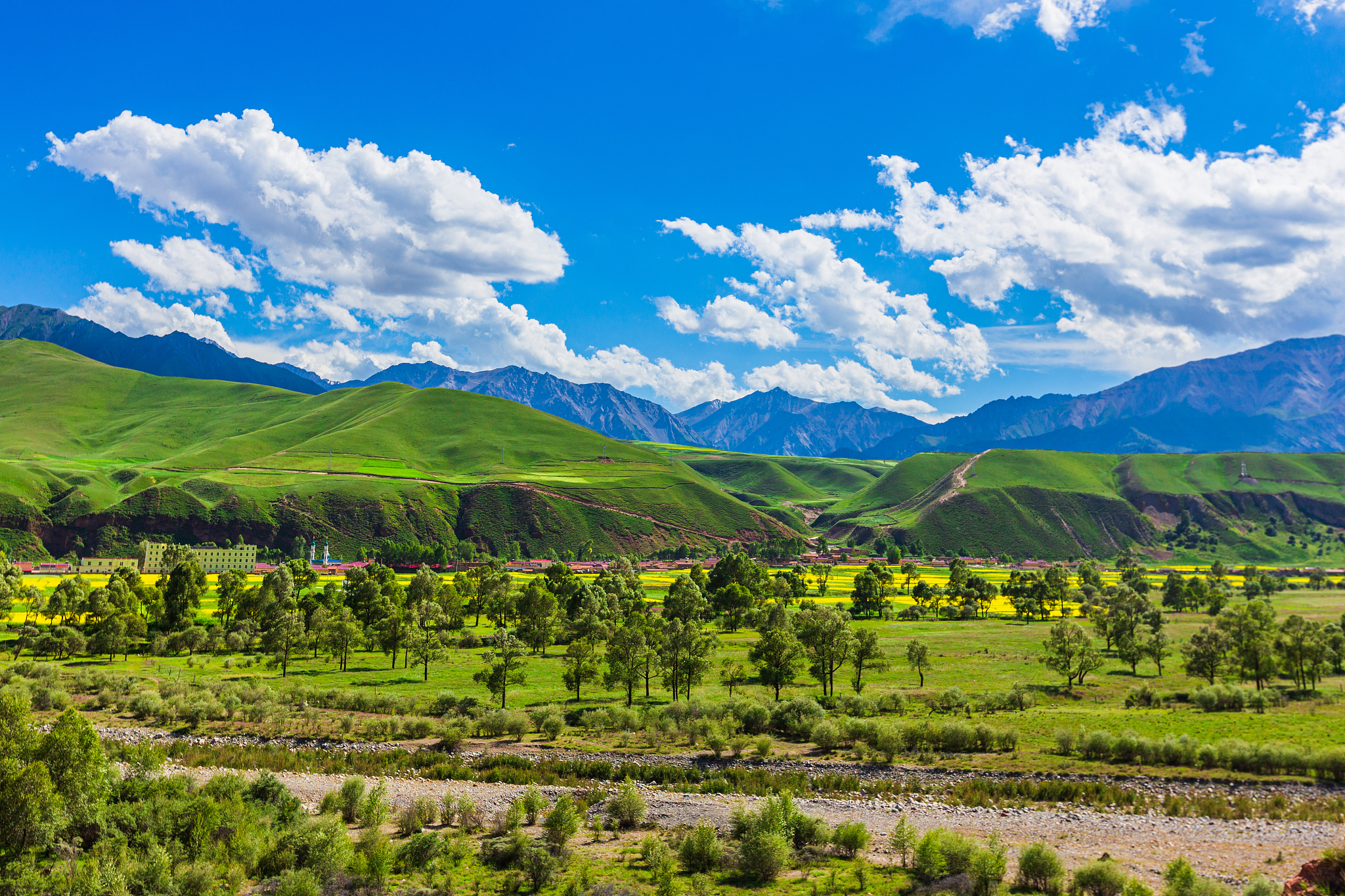 青海省青稞和牛羊肉交易中心发展：社会文化环境的积极影响