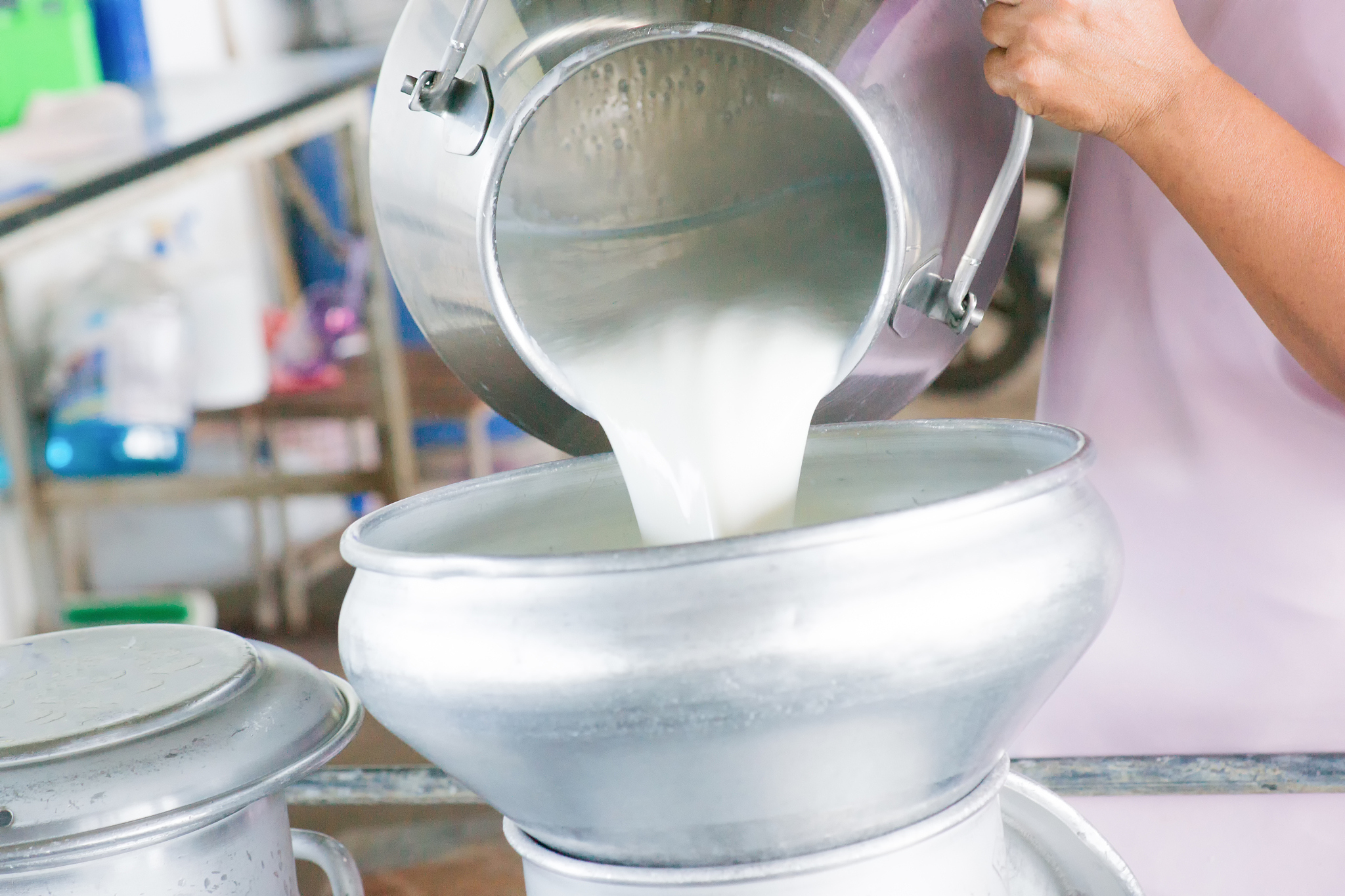 生牛乳的制作方式