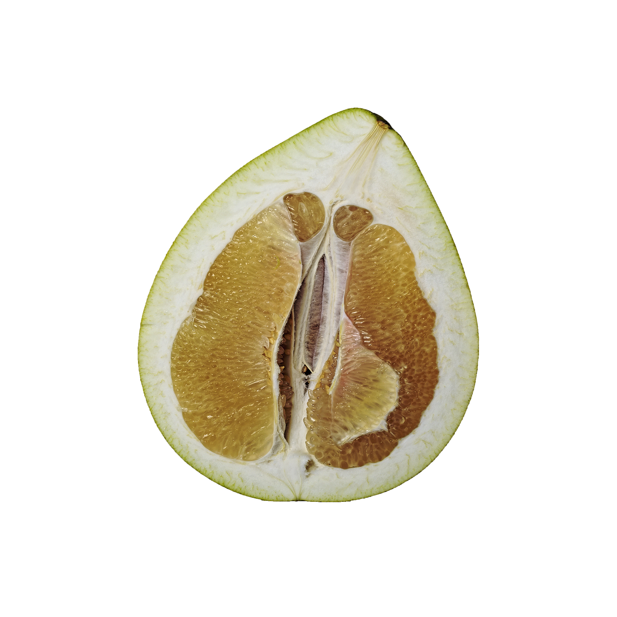 红薯和柚子可以一起吃吗