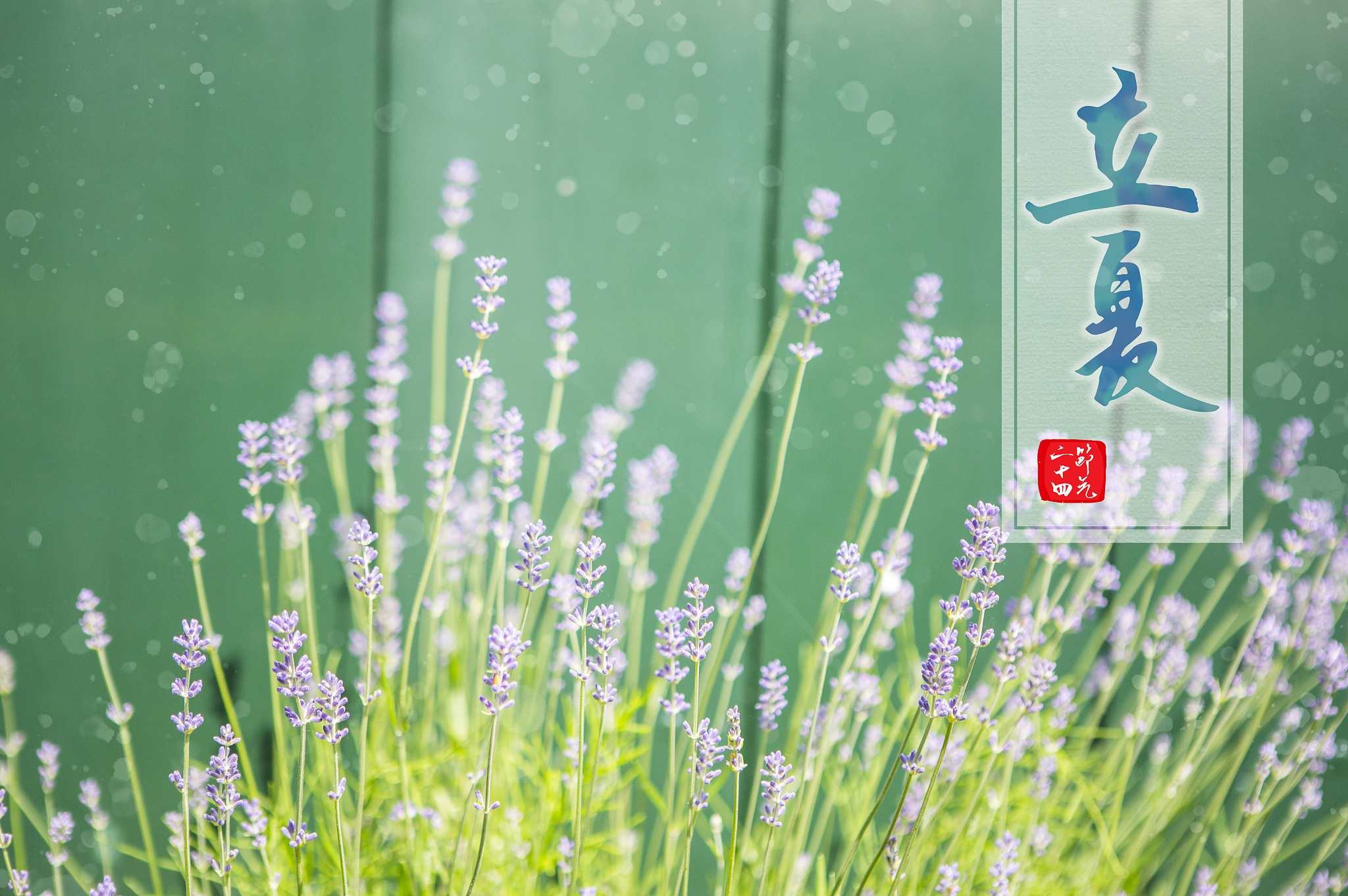 立夏朝阳文案：10字内表达你的心情