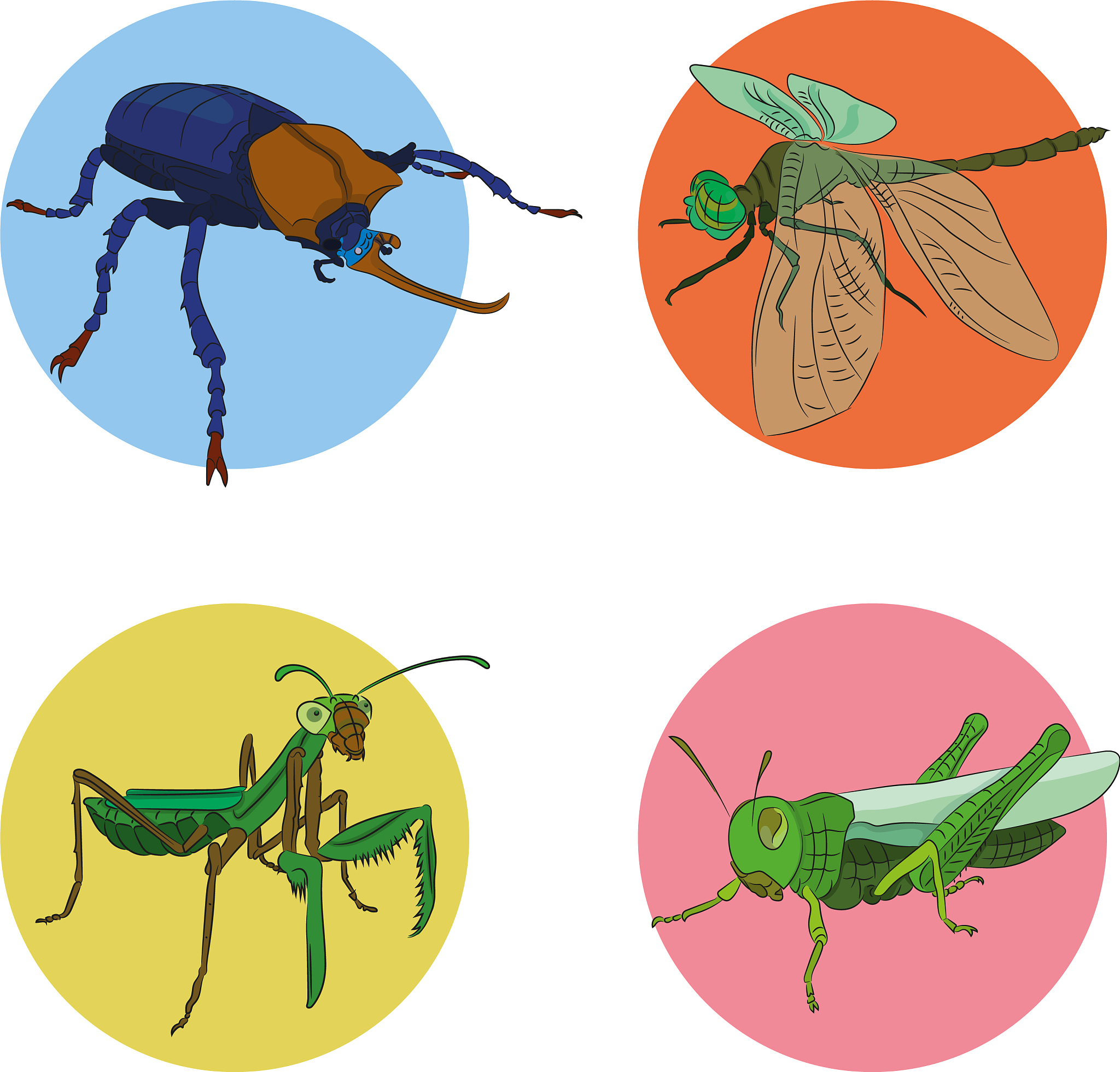 有关昆虫学的文献综述