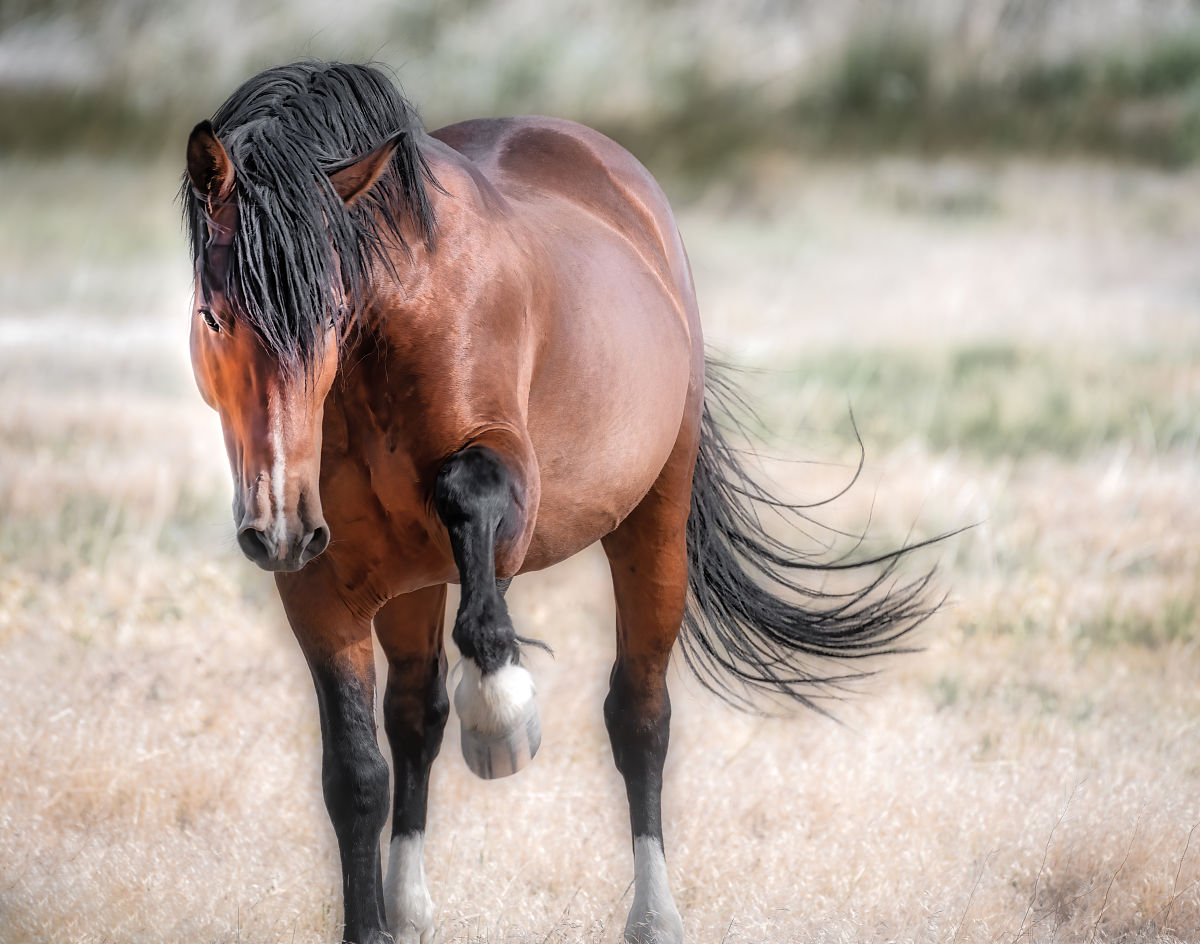 三渲二技术在动画电影中有哪些应用