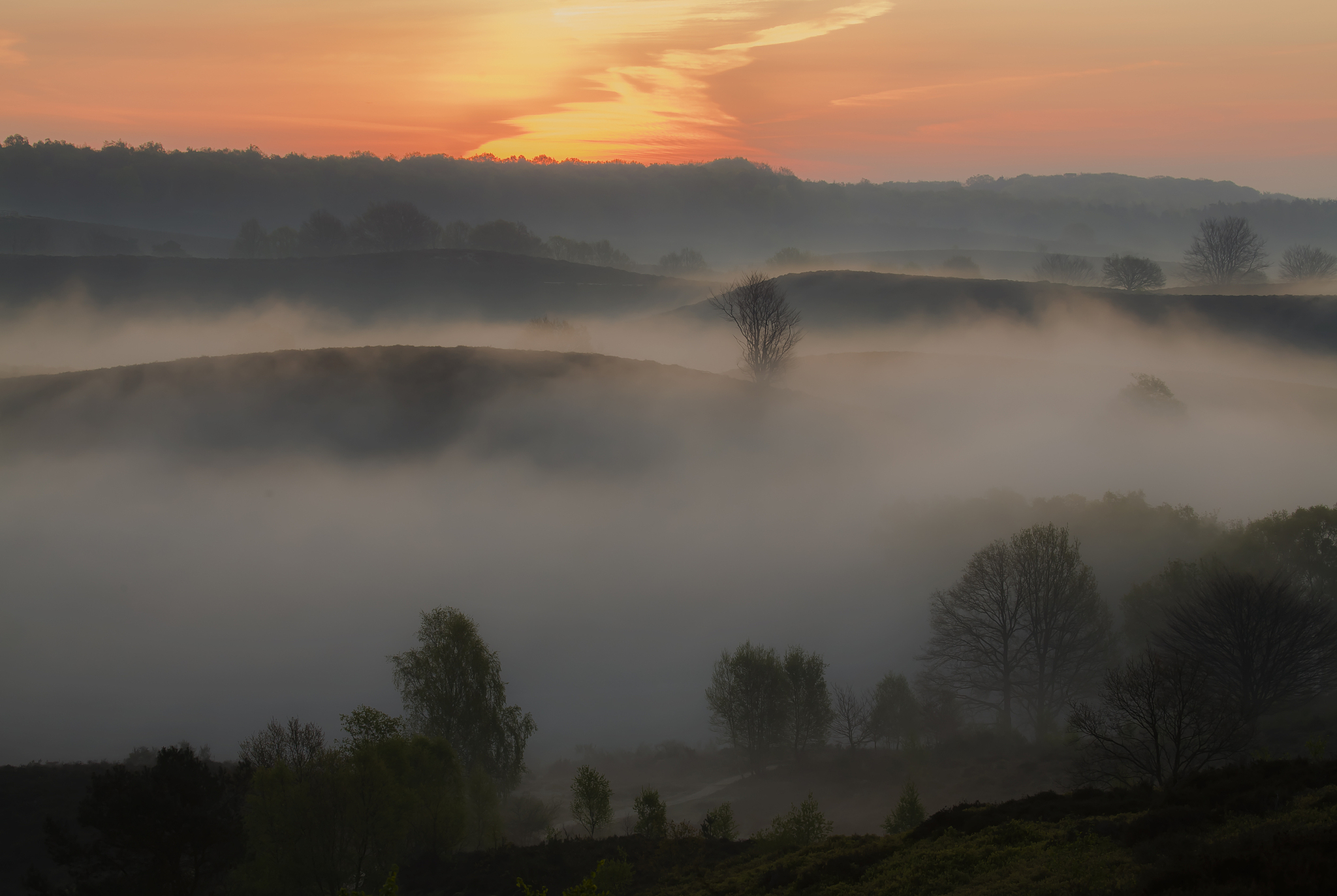MJ能组成哪些单词？所有可能性都在这里！