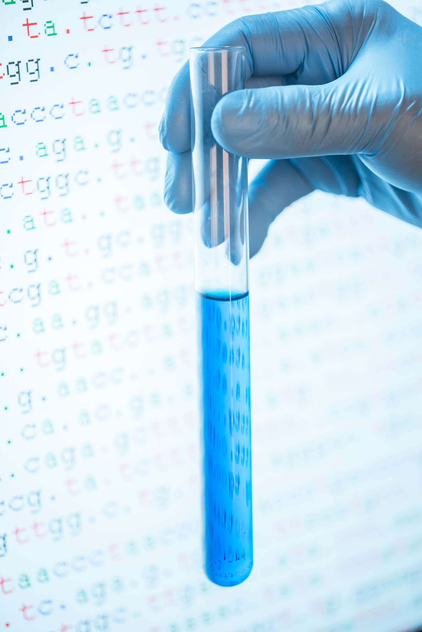 控制60个氨基酸酶合成的基因核苷酸数